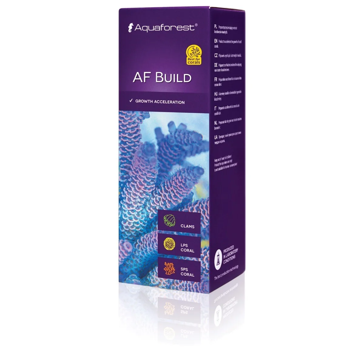 Build 50ml