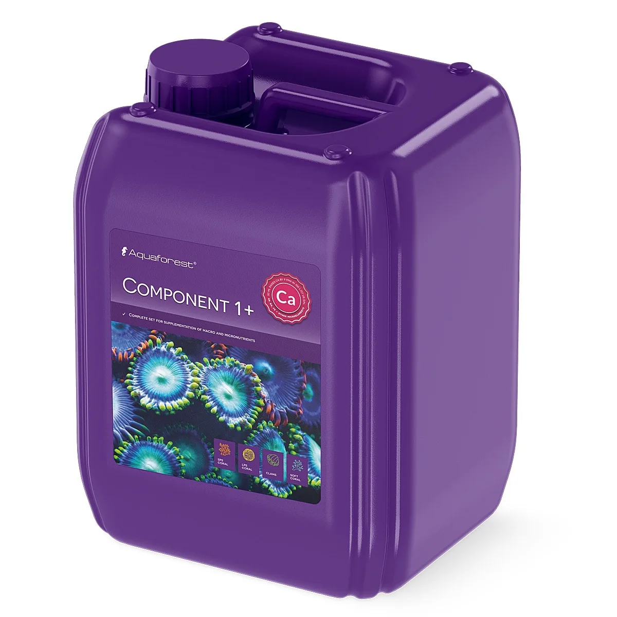 Component 1+  5L