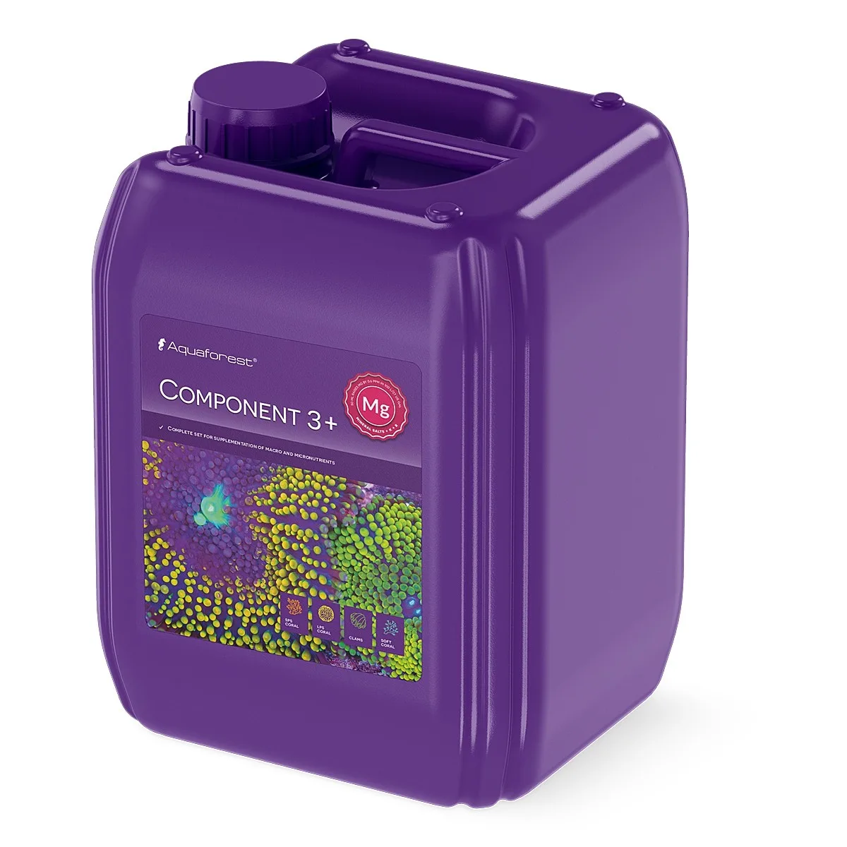 Component 3+  5L