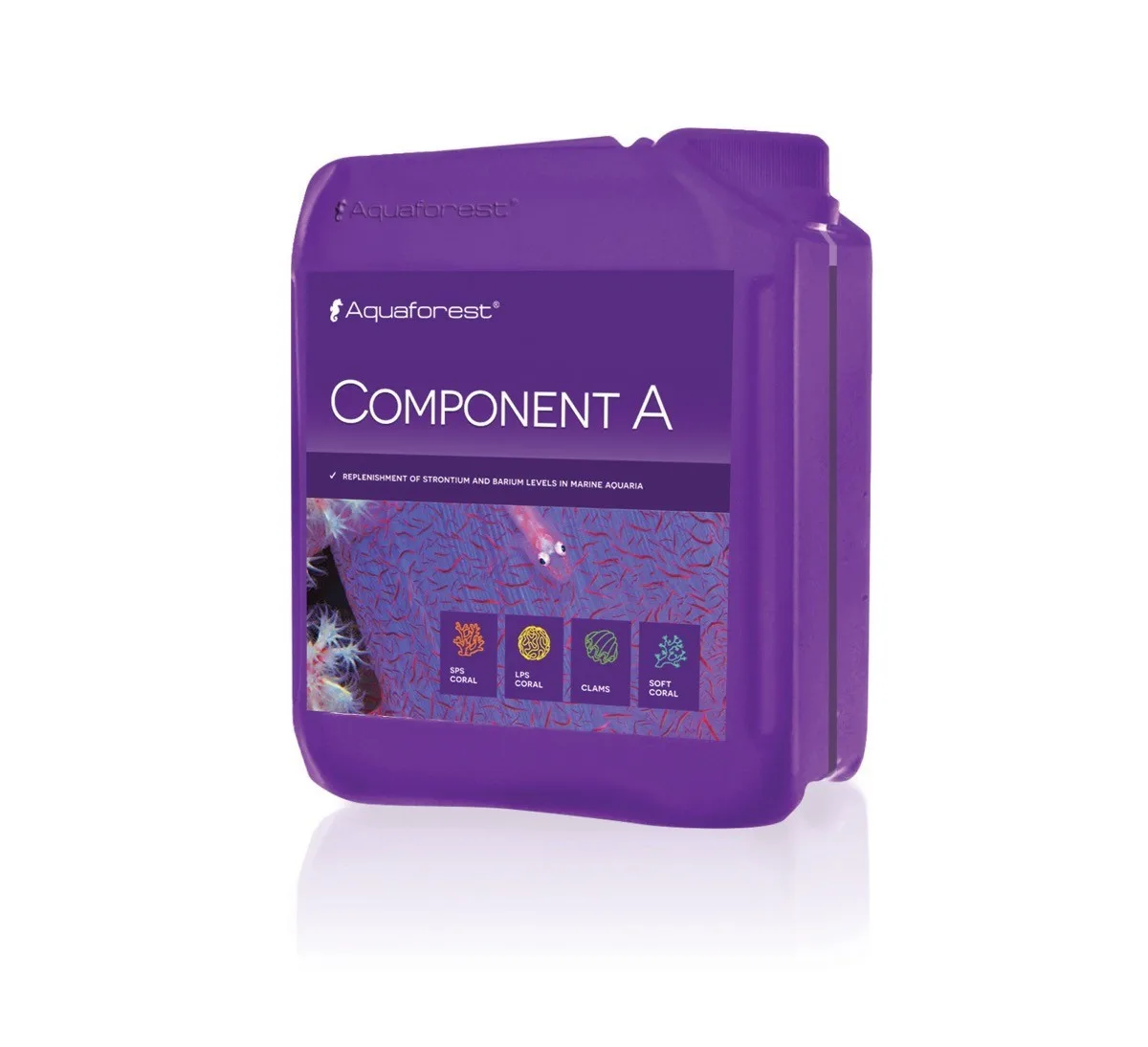 Component A 2000ml