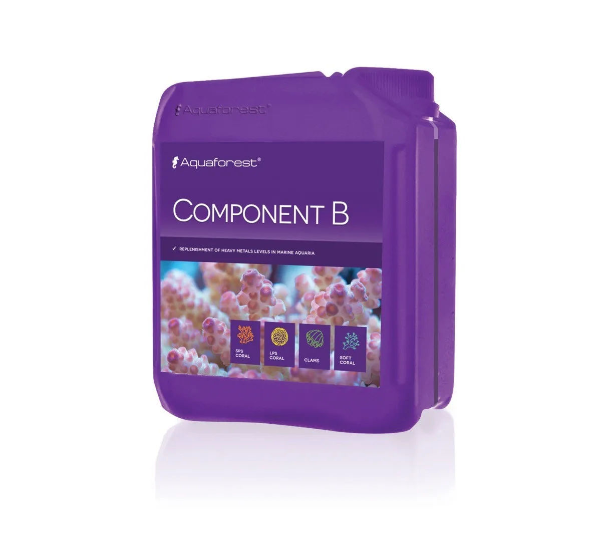 Component B 2000ml