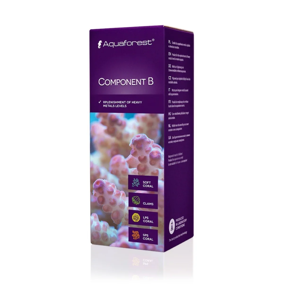 Component B 250ml
