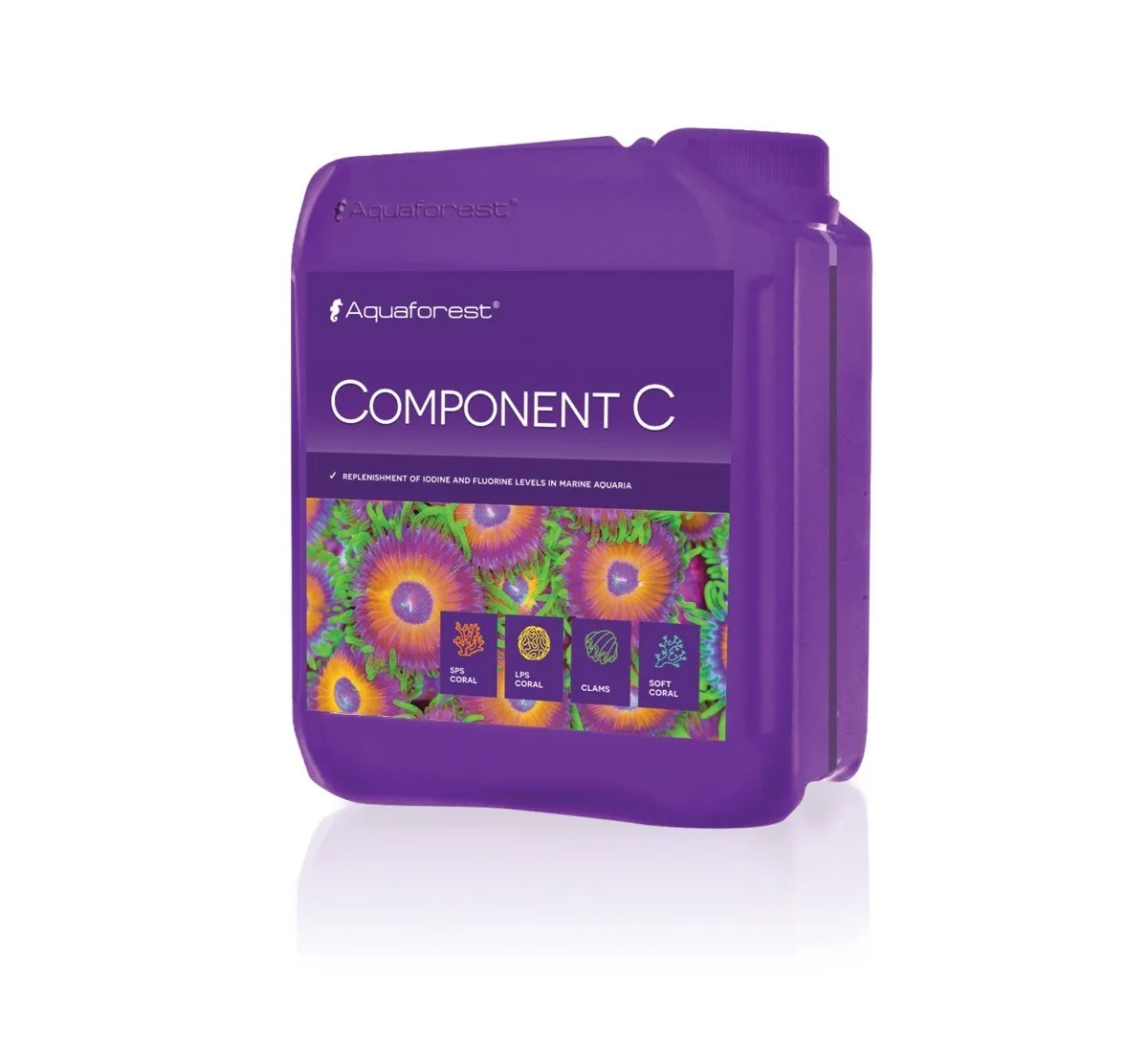 Component C 2000ml