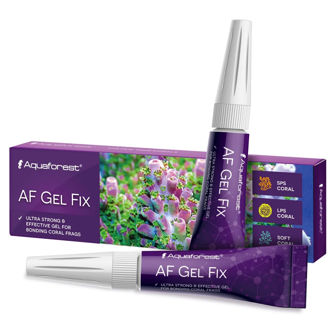Gel Fix