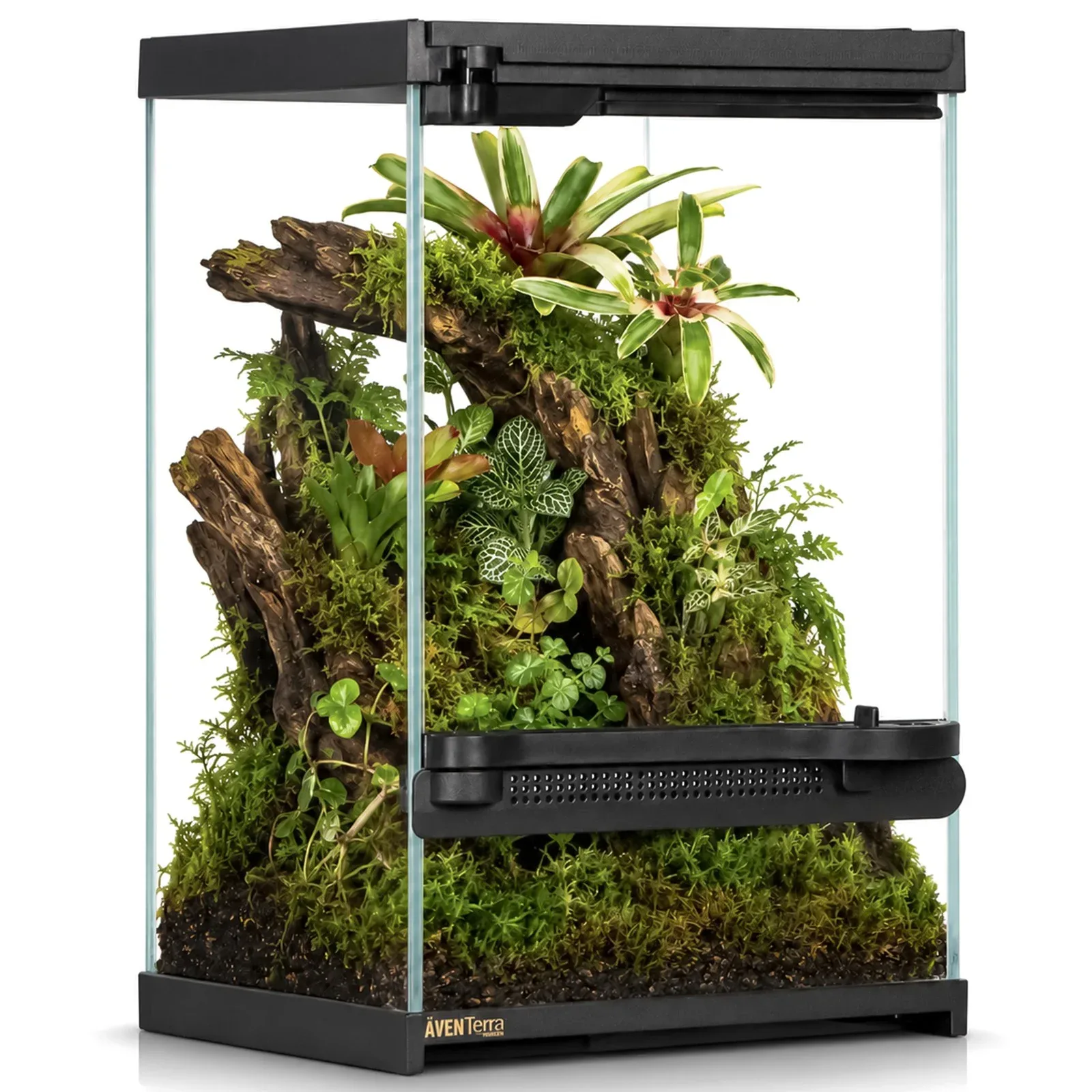 VETRANO 20x20x30 - terrarium szklane