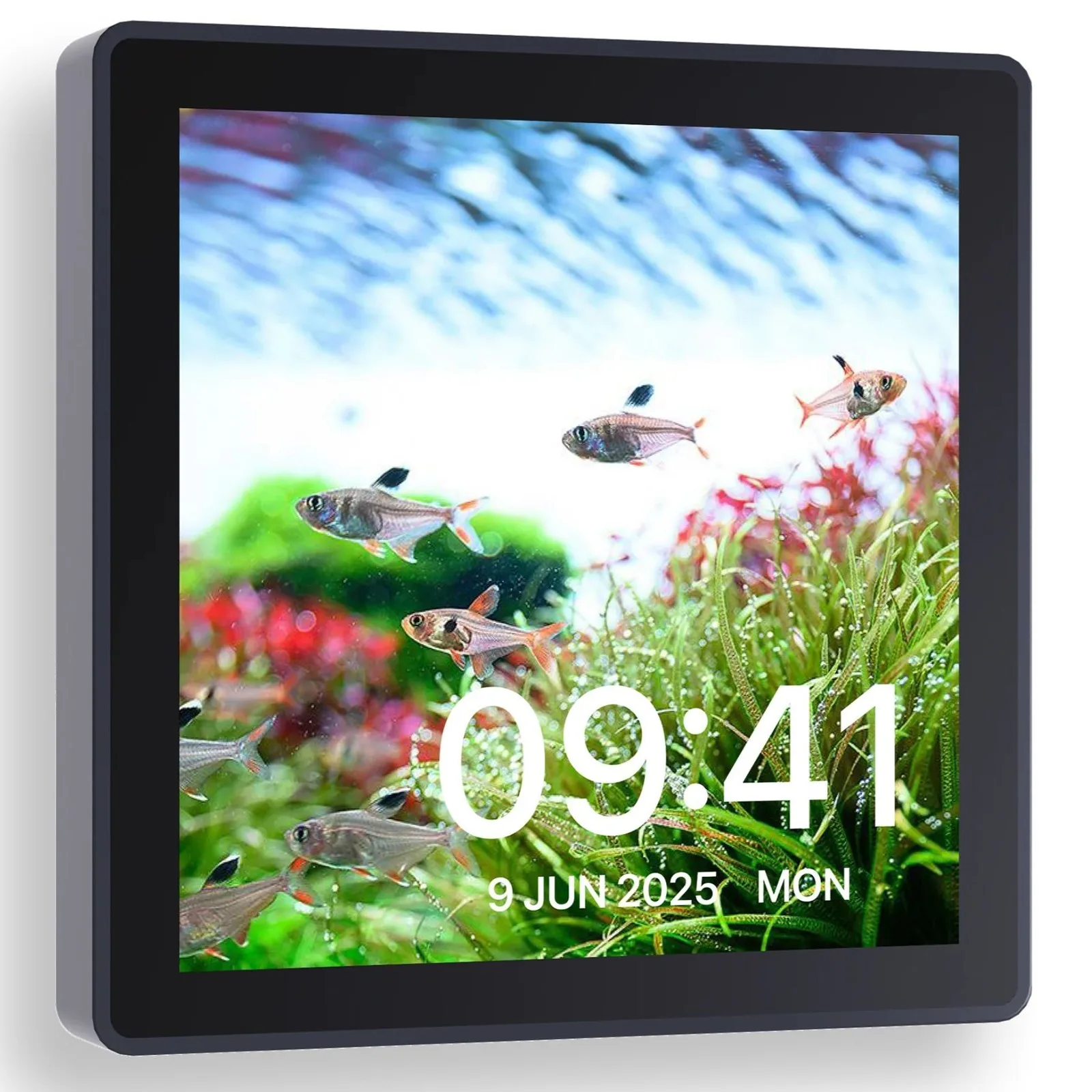 WiFi Hub Pro - komputer sterujący akwarium