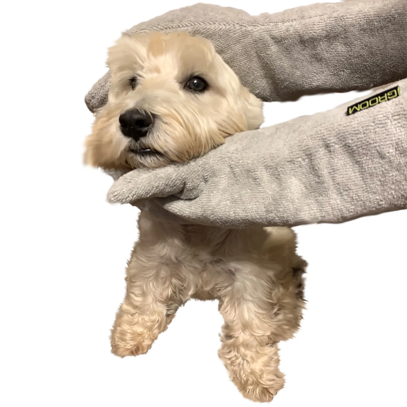 Groom Rub Down Mitts - rękawiczki do suszenia psa