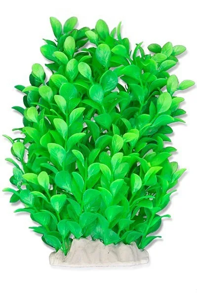 Aquatic Plant - zielona roślinka sztuczna 20cm