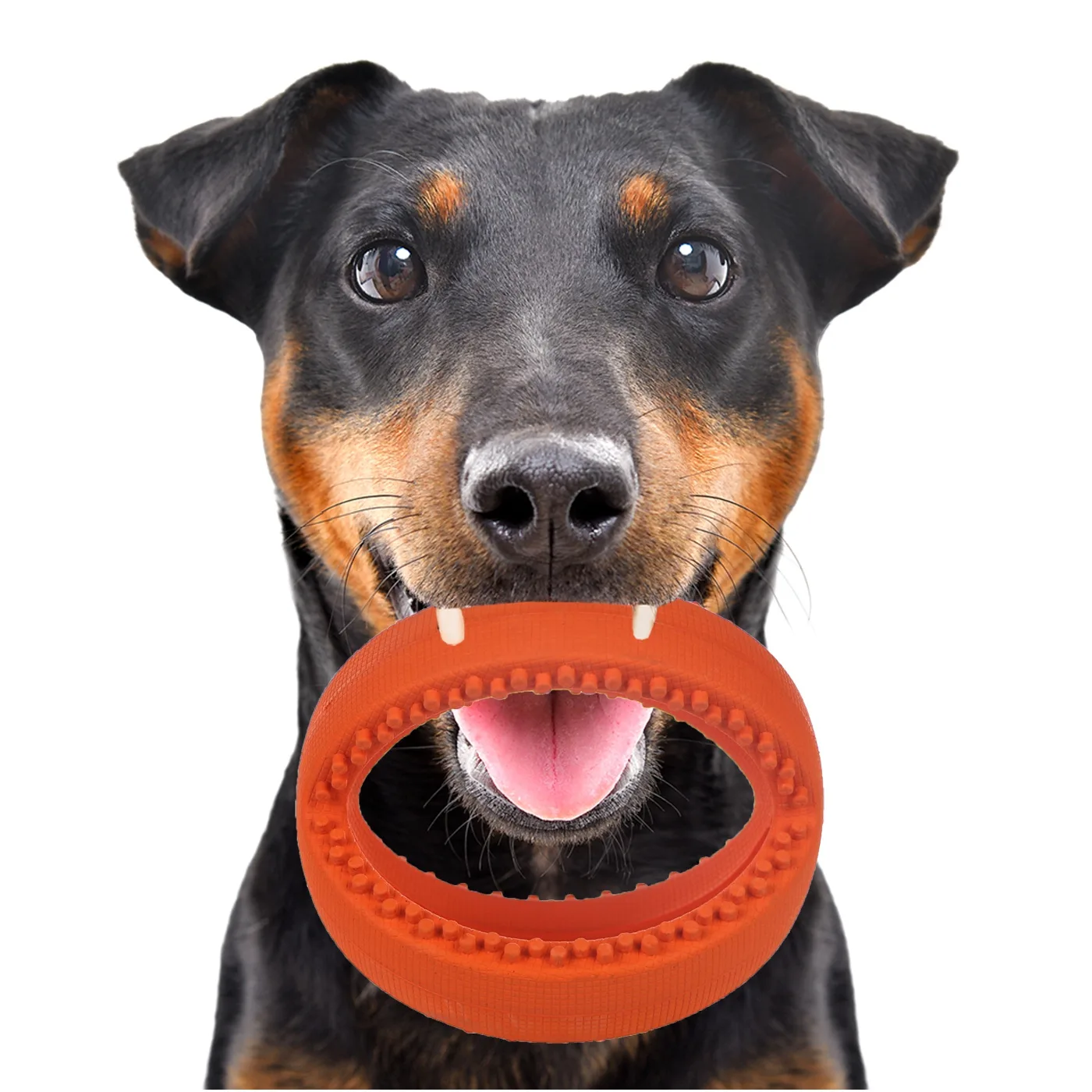 HappyPet Grubber Interactive Football Small - interaktywna piłka