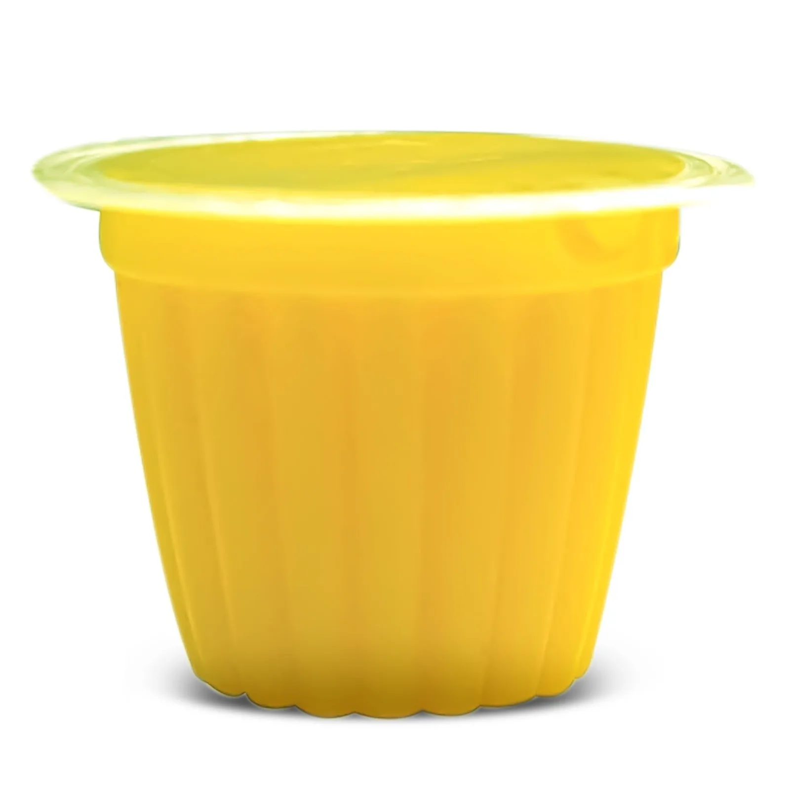 Jelly Pot Pineapple- pokarm ananas w żelu