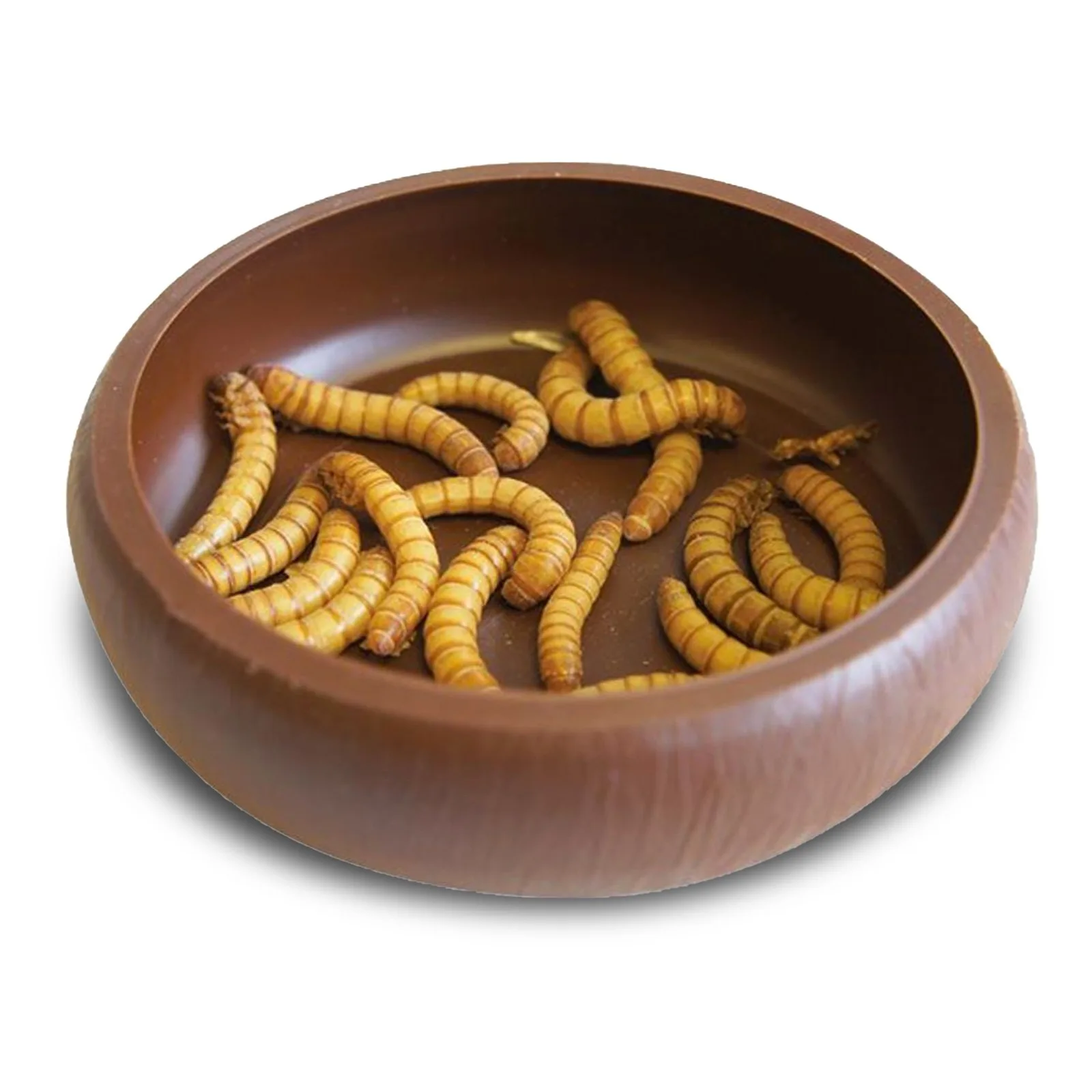 Mealworm Dish - miska na żywy pokarm