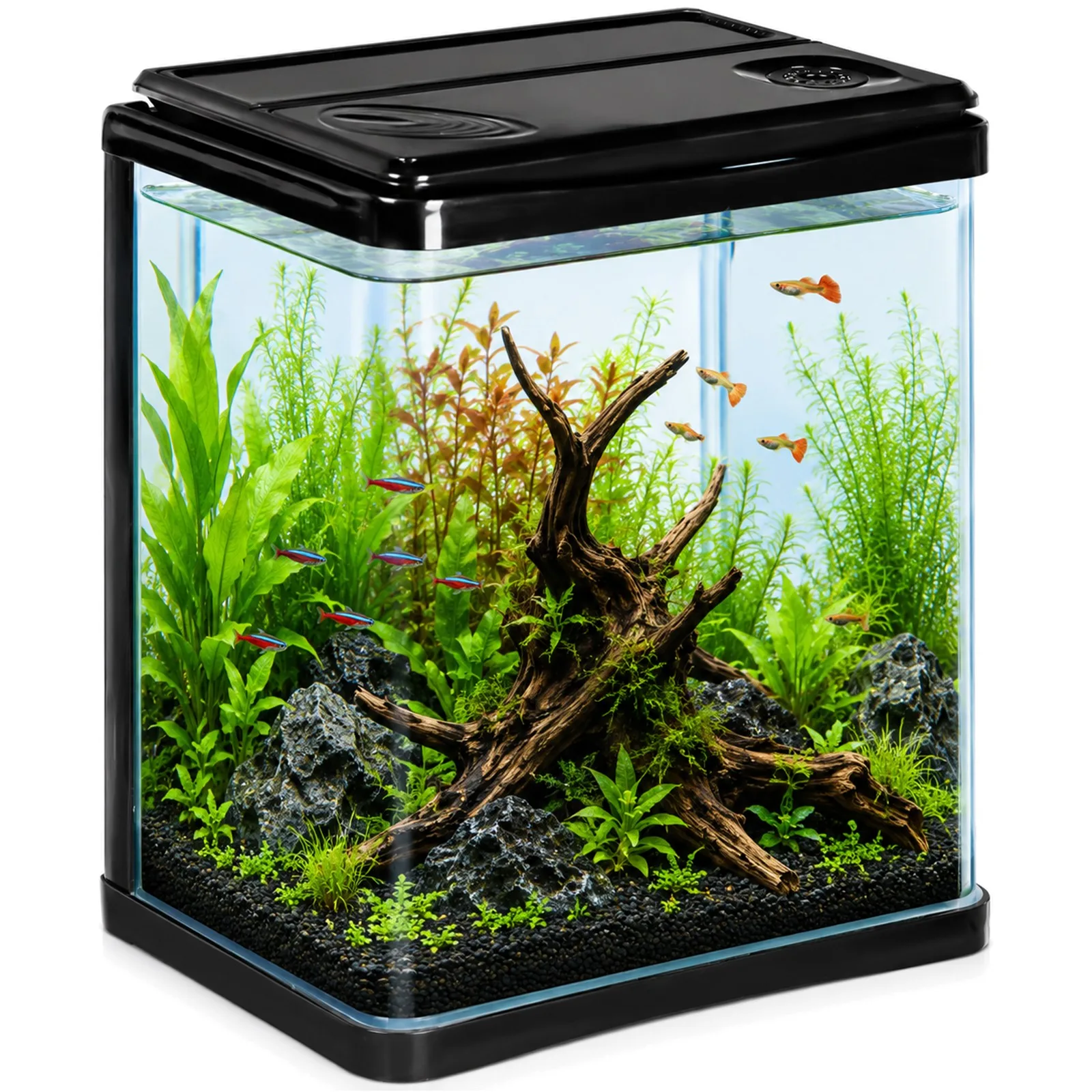 Kruger Meier Arona Aquarium 3l - akwarium zestaw czarny