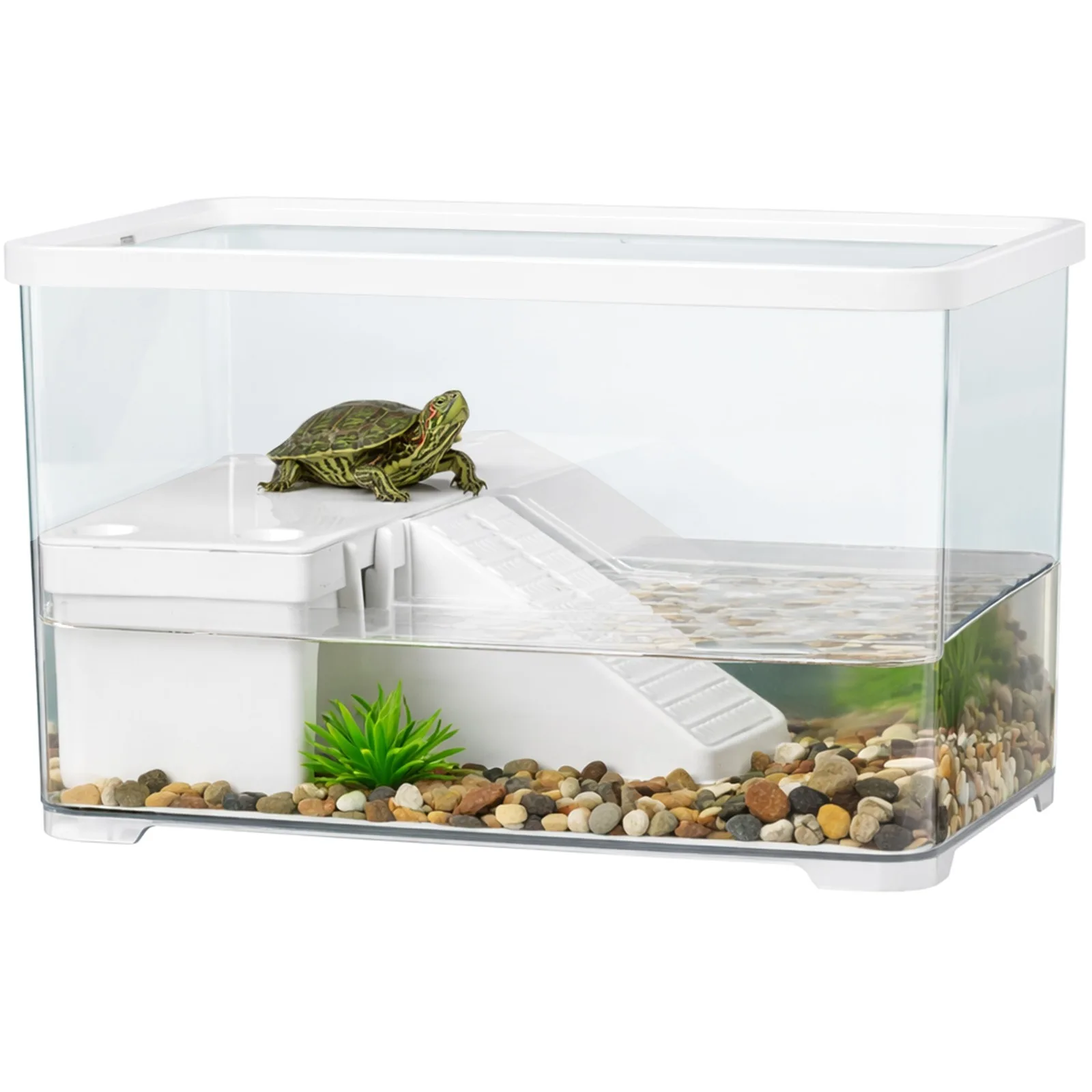 LagunaVerde Turtle Aquarium - akwarium dla żółwia
