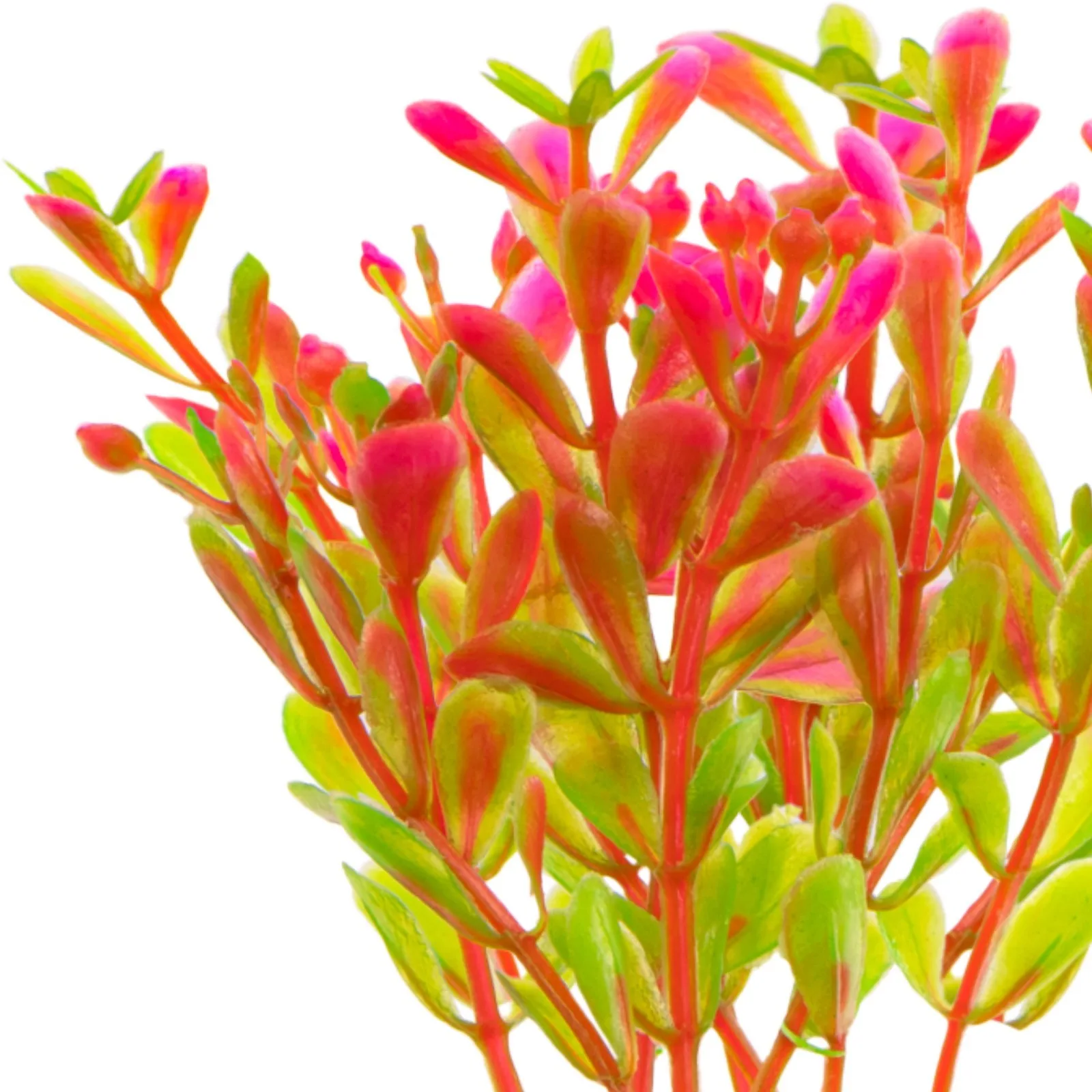 Plant Fluo Pink - roślinka sztuczna