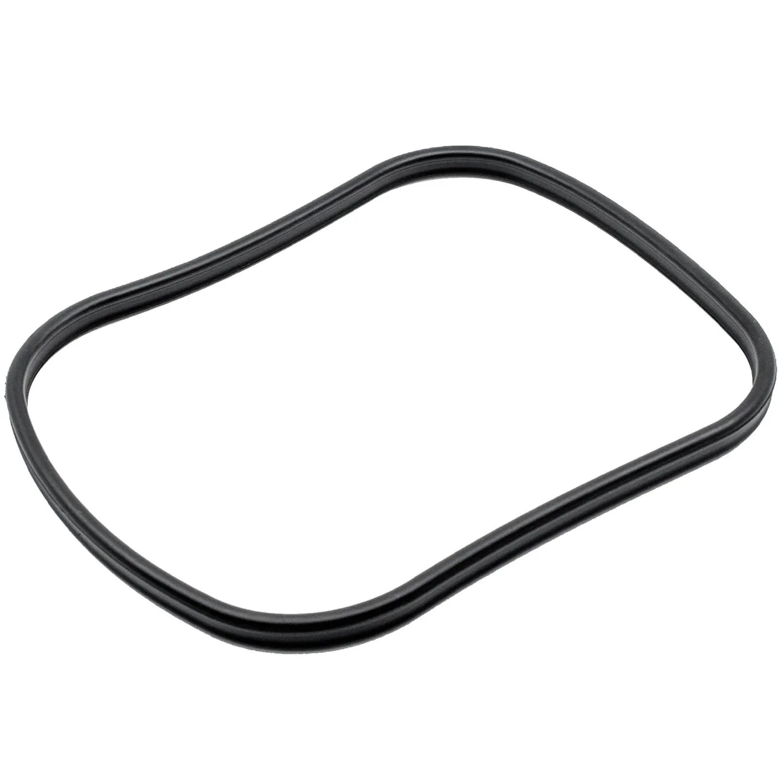 Main Gasket for BioMaster & BioMaster Thermo - uszczelka pokrywy