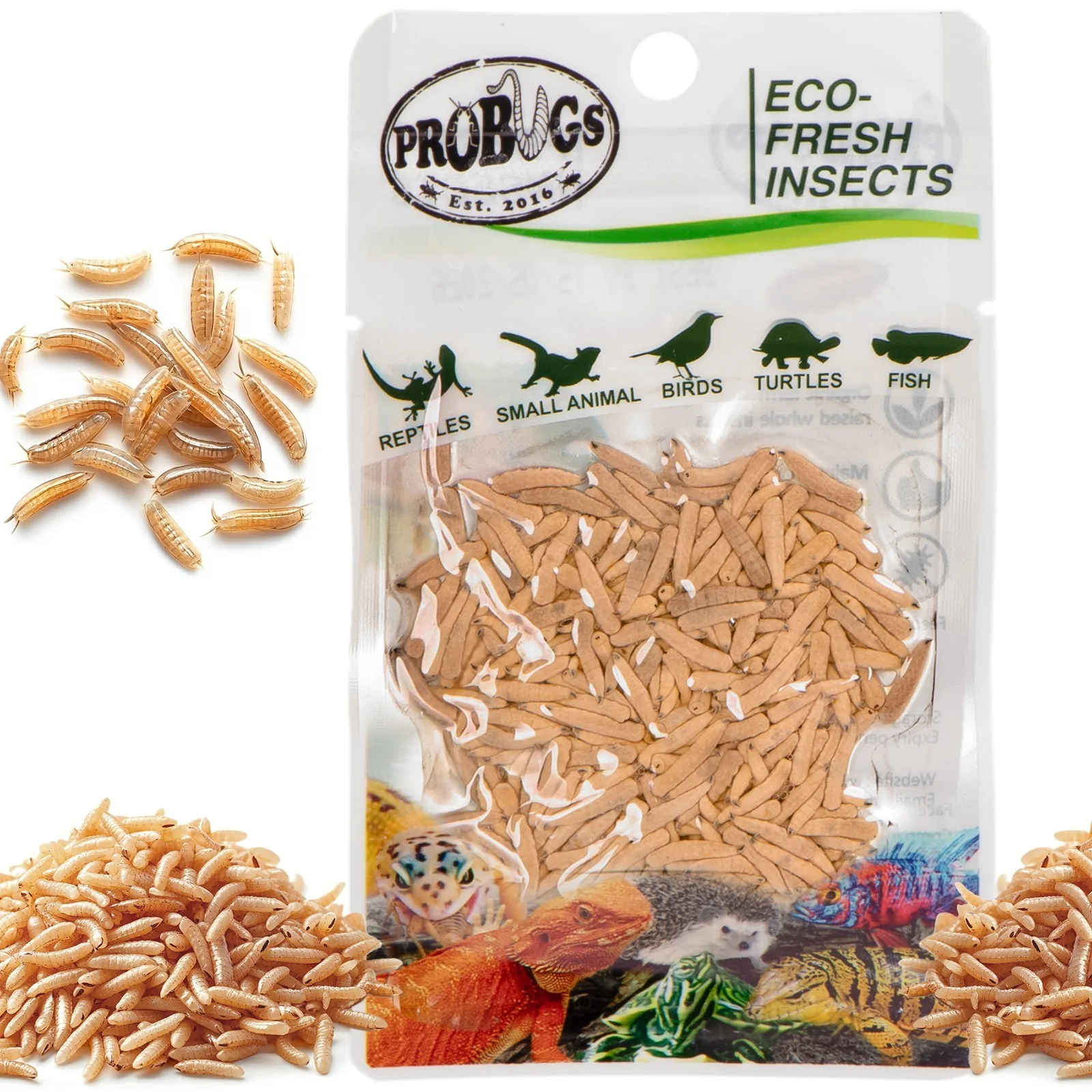 Eco-Fresh Riceworm 15g - świeże larwy muchy