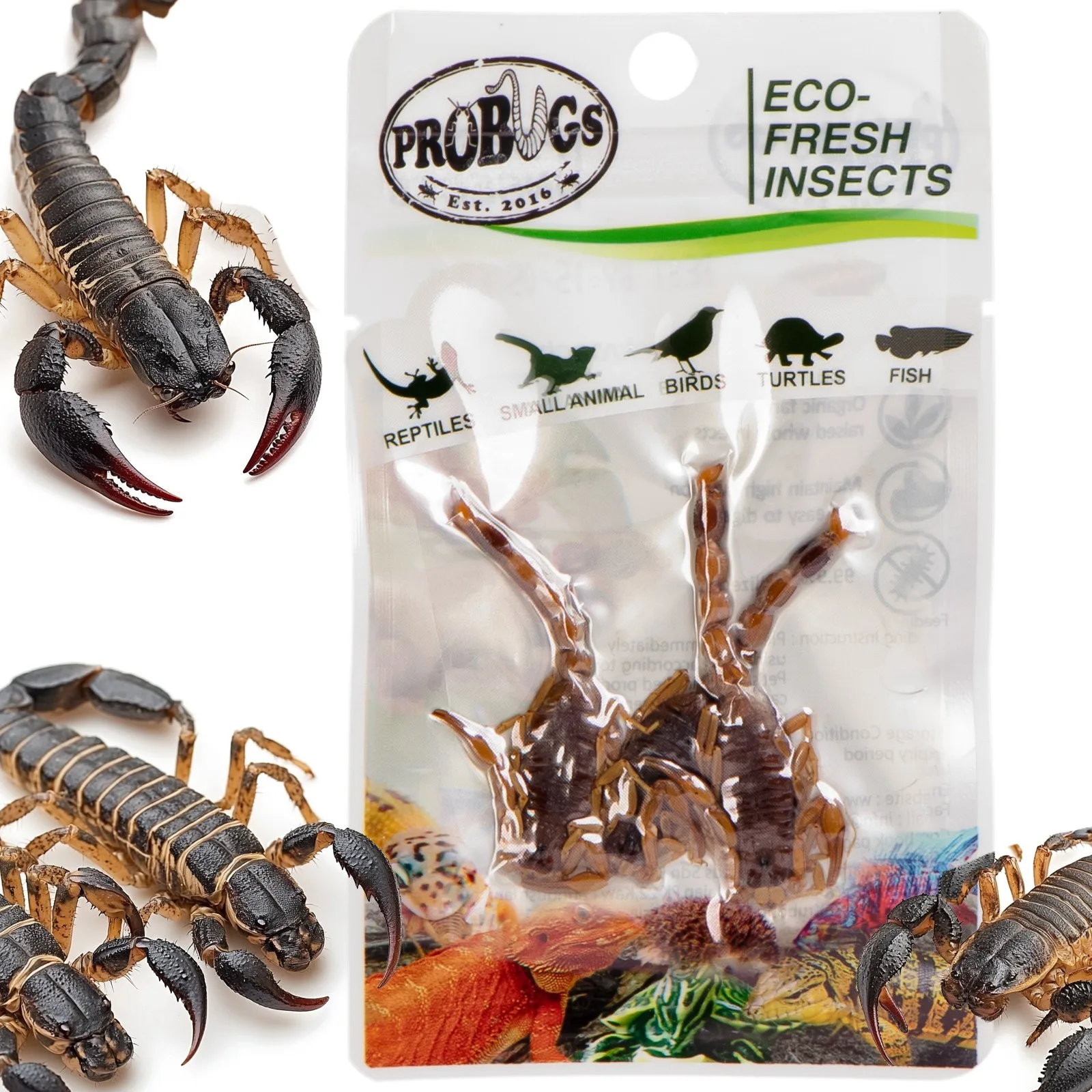 Eco-Fresh Scorpion 3pcs - świeże skorpiony