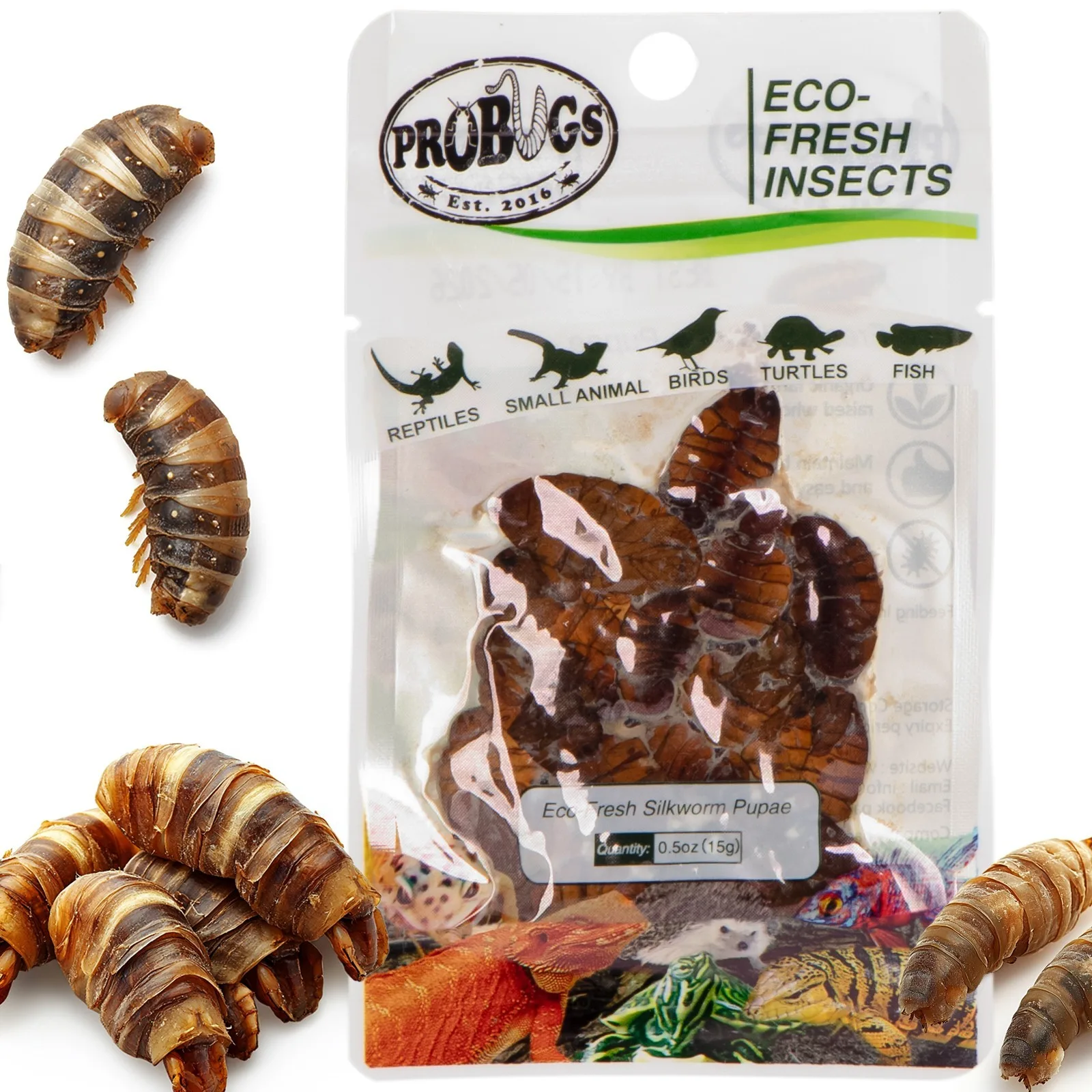 Eco-Fresh Silkworm 15g - świeże larwy jedwabnika