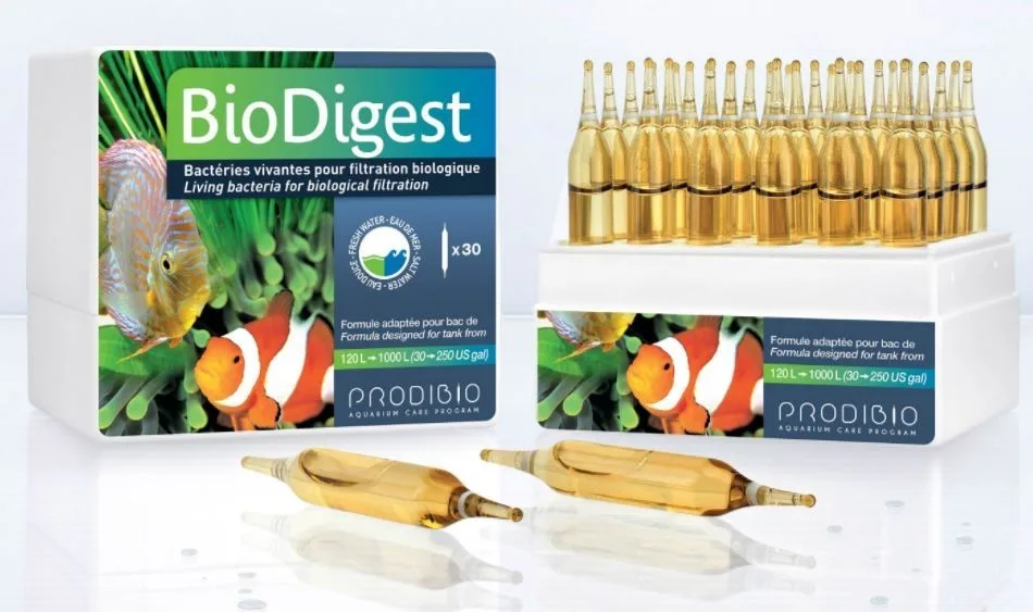 BioDigest 30 ampułek