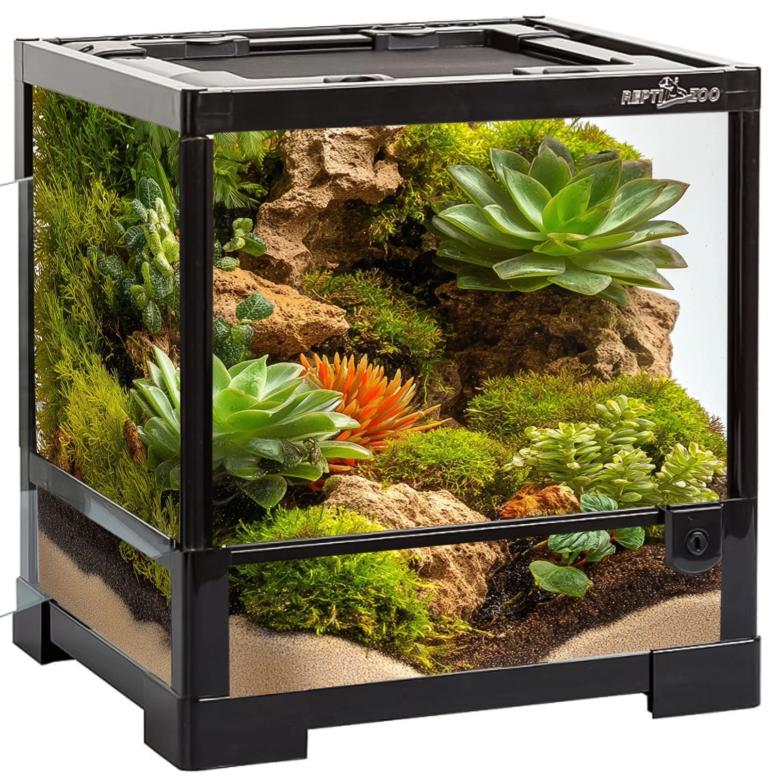 Glass Terrarium 30x30x32cm - szklane terrarium z metalową siatką