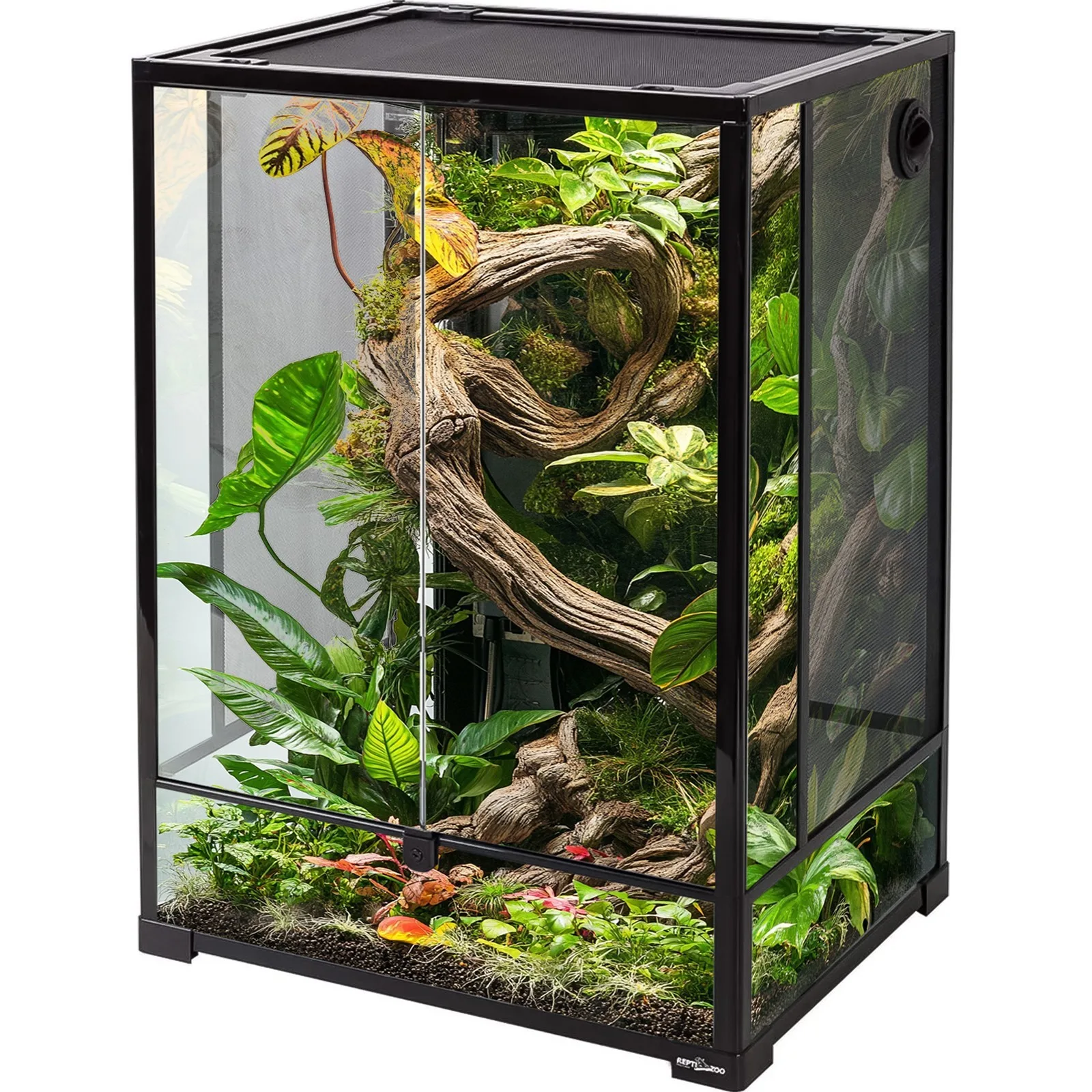Glass Terrarium 60x45x90cm - szklane terrarium z metalową siatką