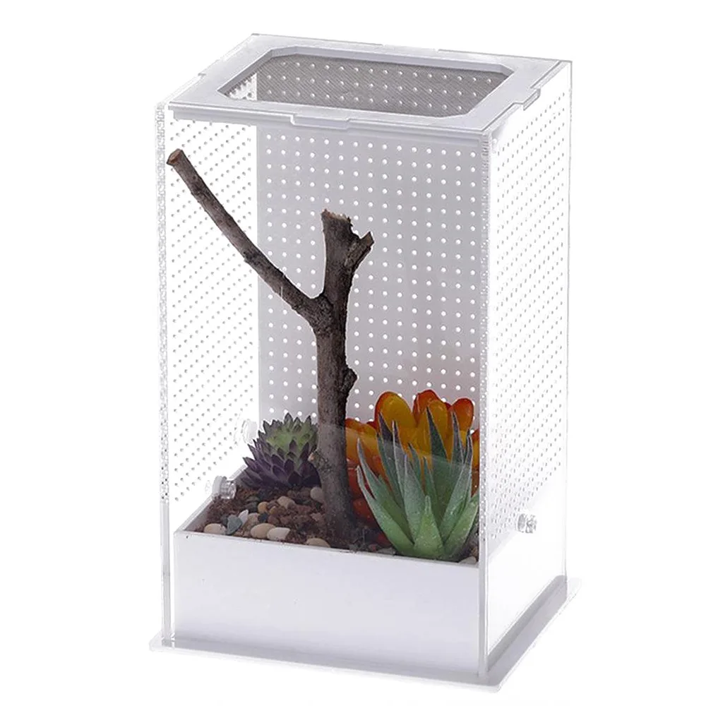Mantis Box L - terrarium akrylowe dla modliszek