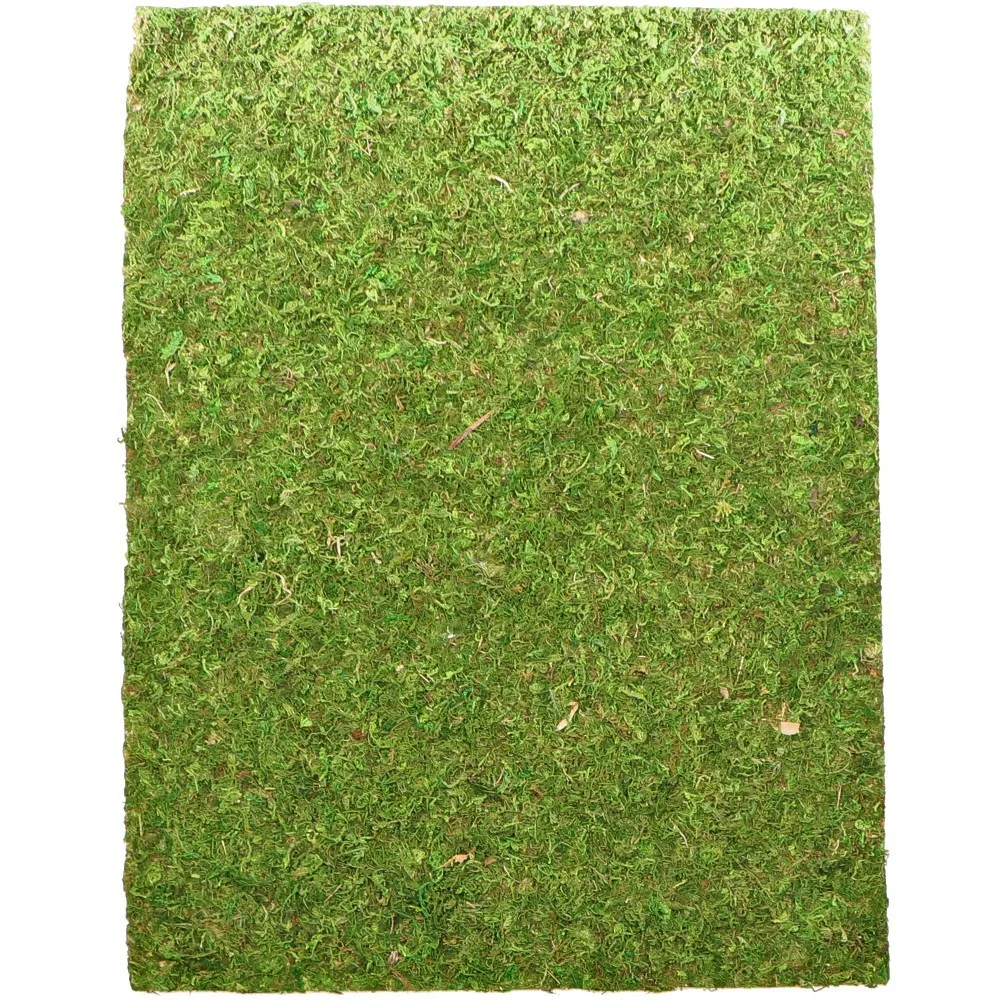 Natural Moss Back&Bottom - tło i podłoże z mchu 50x25cm