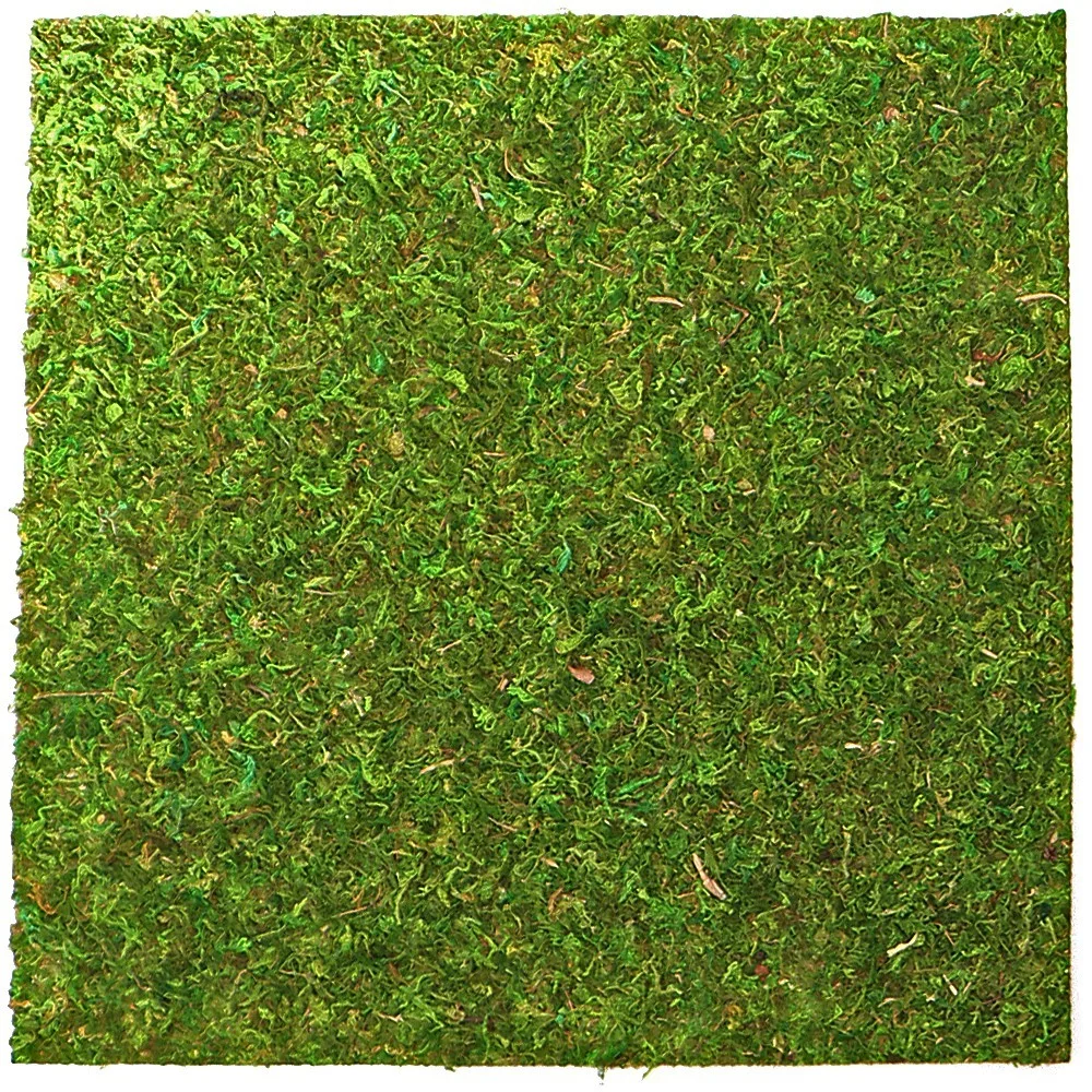 Natural Moss Back&Bottom - tło i podłoże z mchu 45x45cm