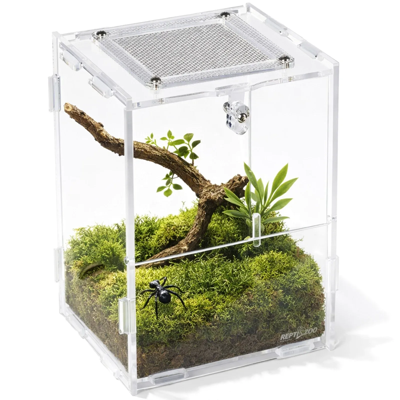 PACR84 Acrylic Terrarium - terrarium akrylowe 11x10x16cm