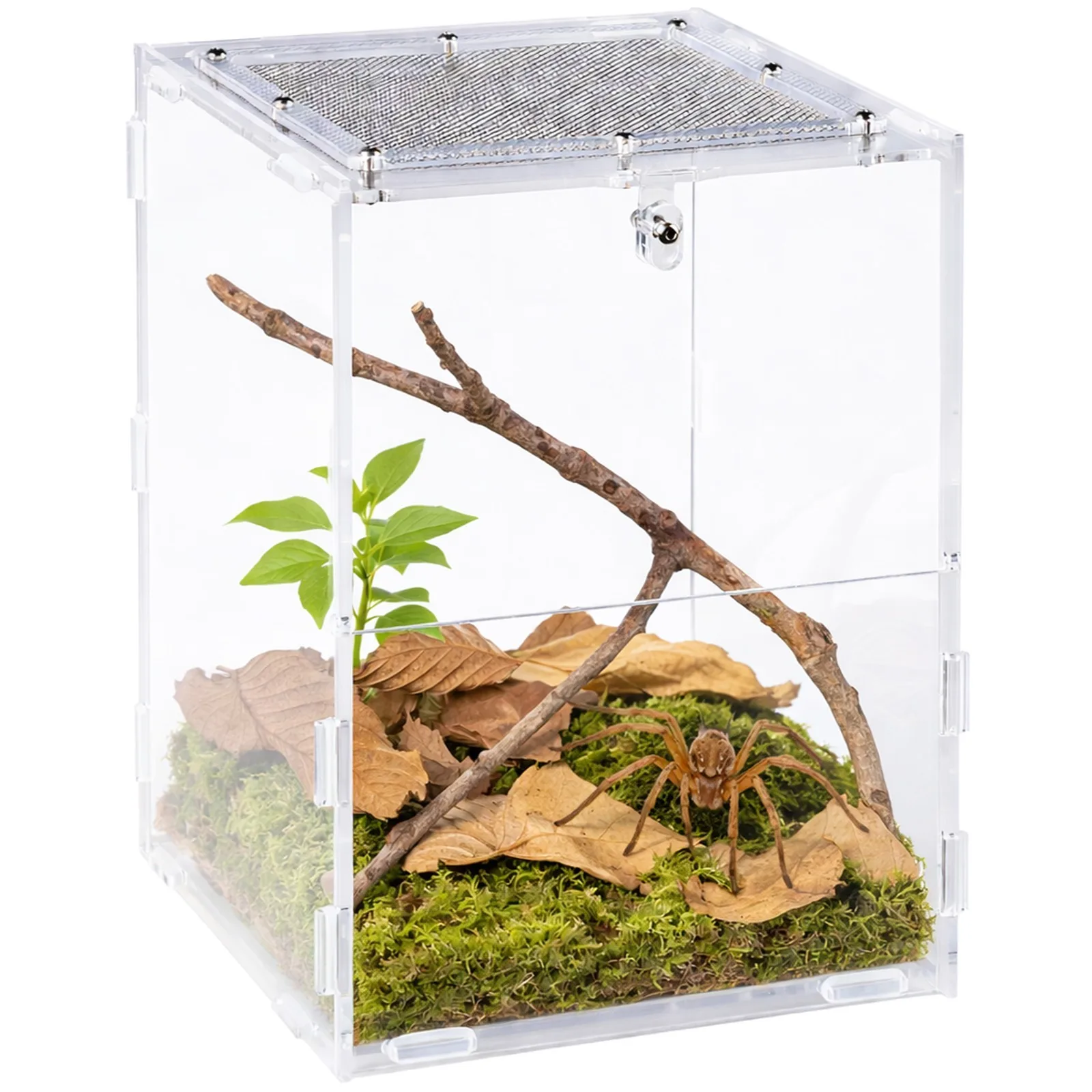 PACR85 Acrylic Terrarium - terrarium akrylowe 15x16x20cm