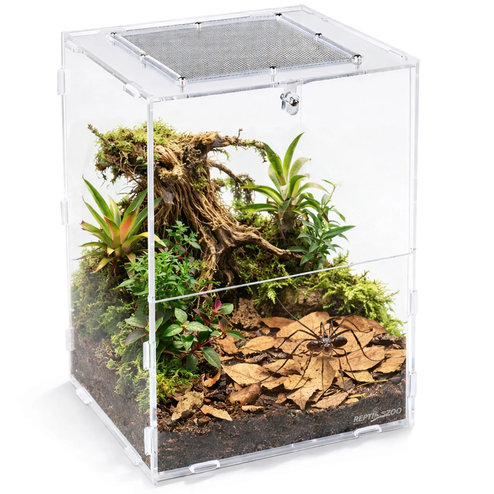 PACR86 Acrylic Terrarium - terrarium akrylowe 19x18x29cm