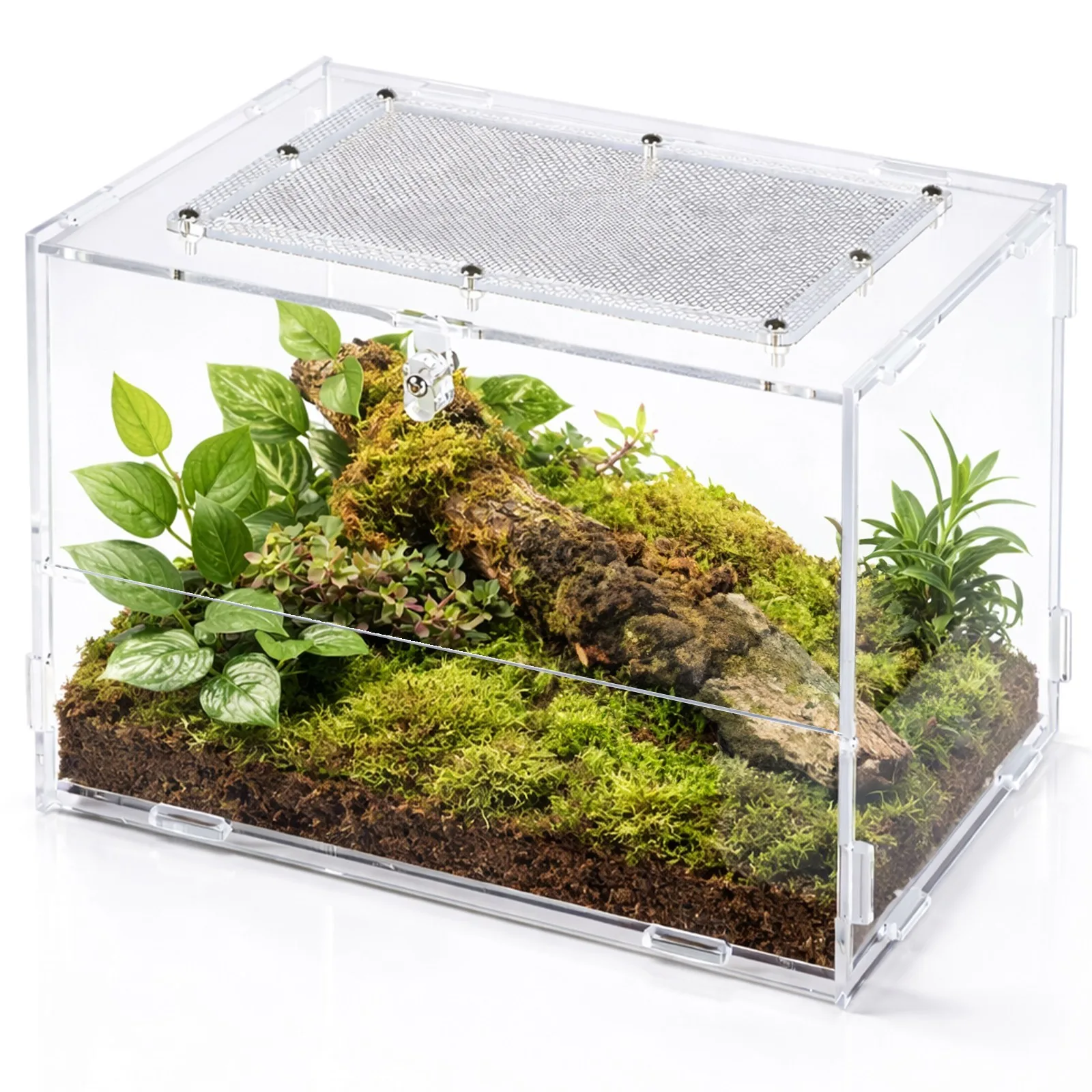 PACR87 Acrylic Terrarium - terrarium akrylowe 20x15x15cm