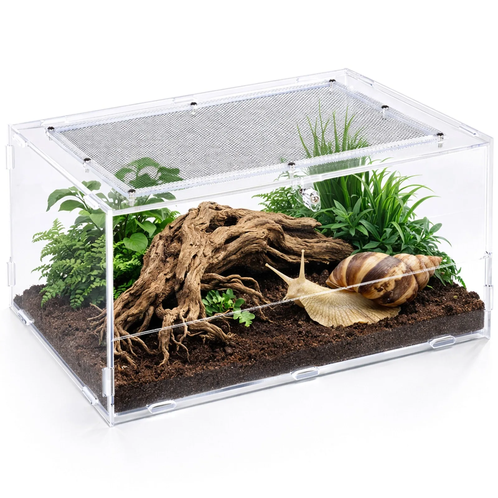 PACR88 Acrylic Terrarium - terrarium akrylowe 30x20x15cm