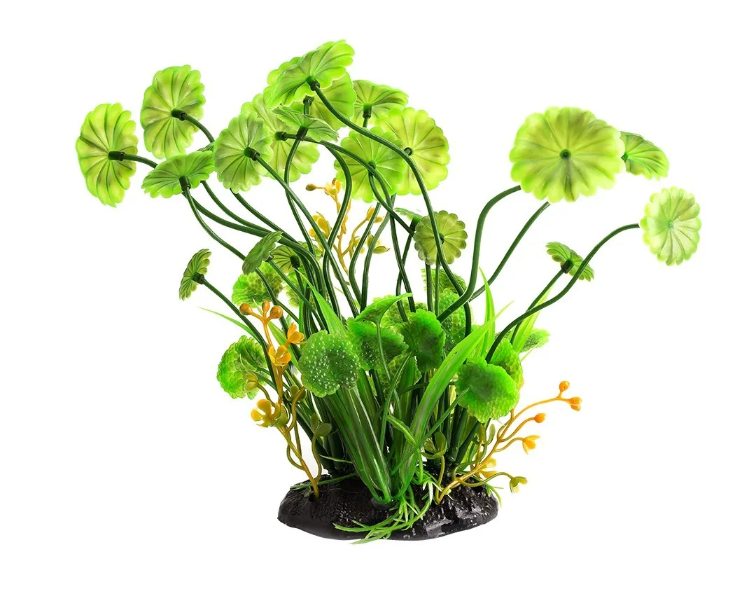 roślina sztuczna - Pilea