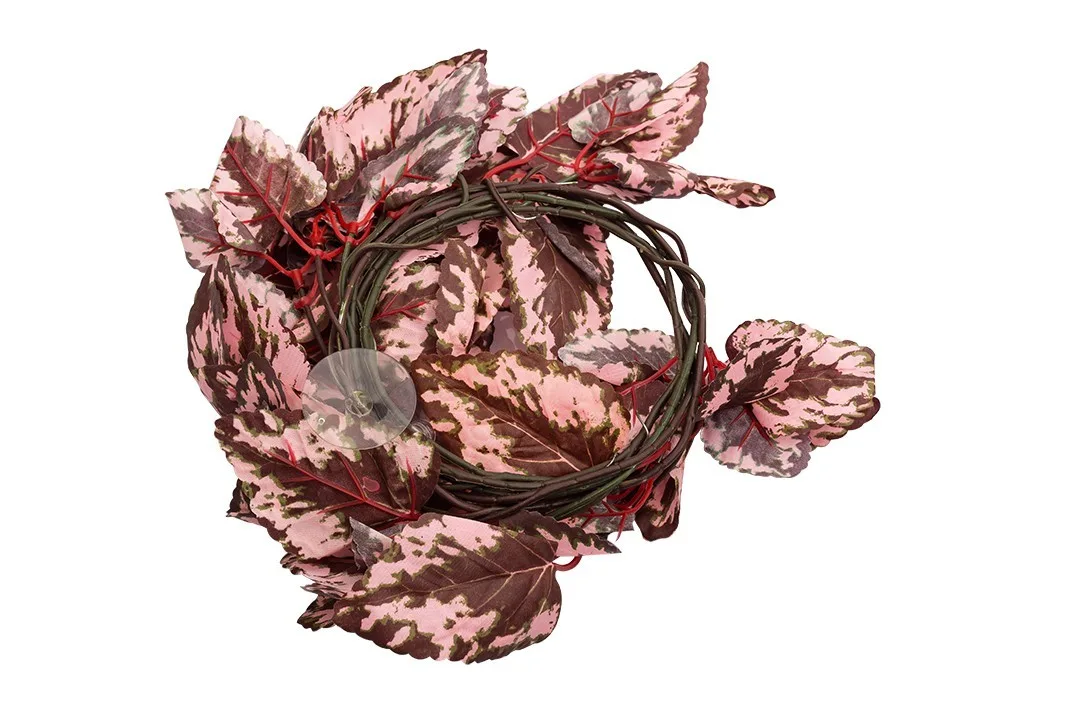 roślina wisząca 190cm - Begonia