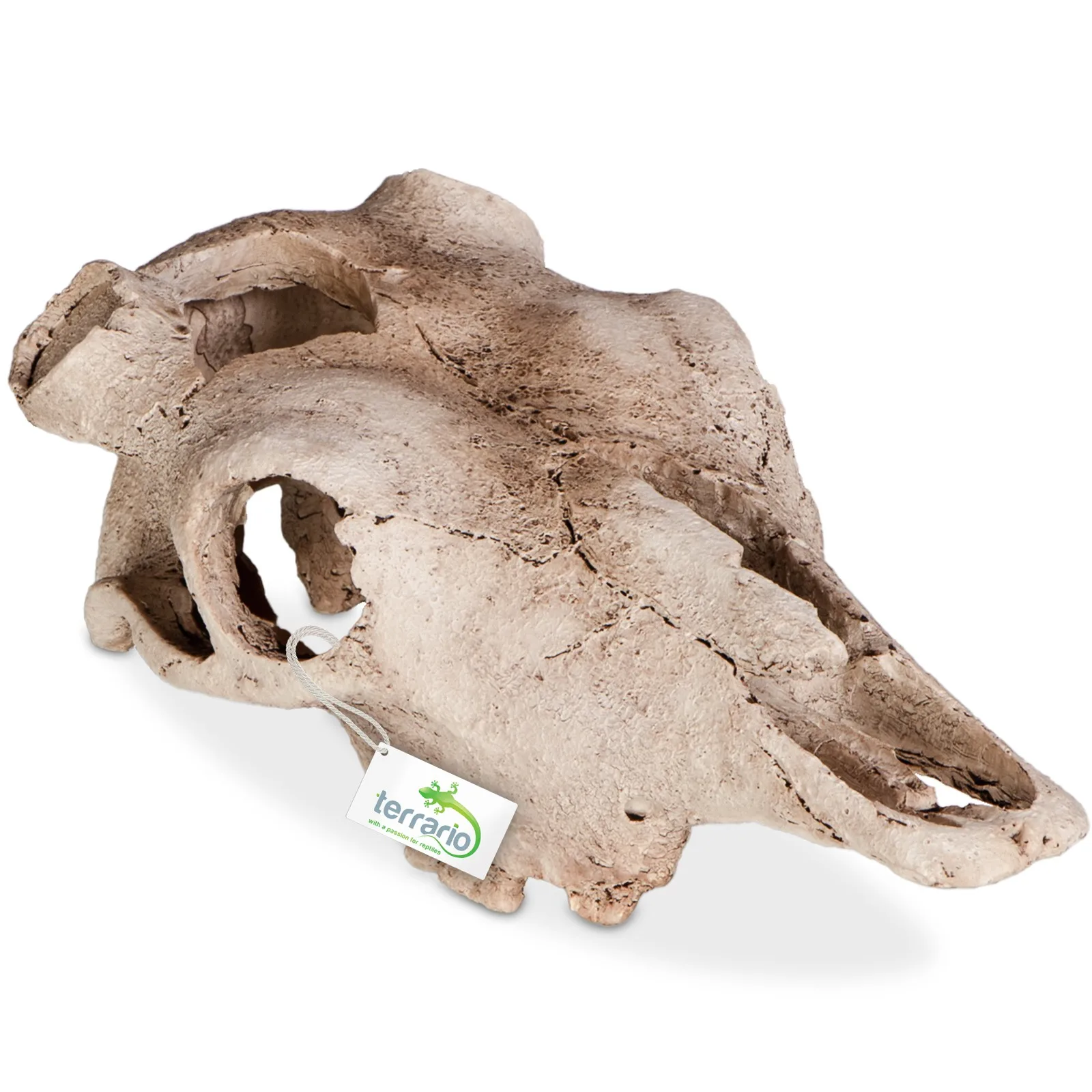 Terrario Buffalo Skull - czaszka bizona do terrarium 21x12x8 cm