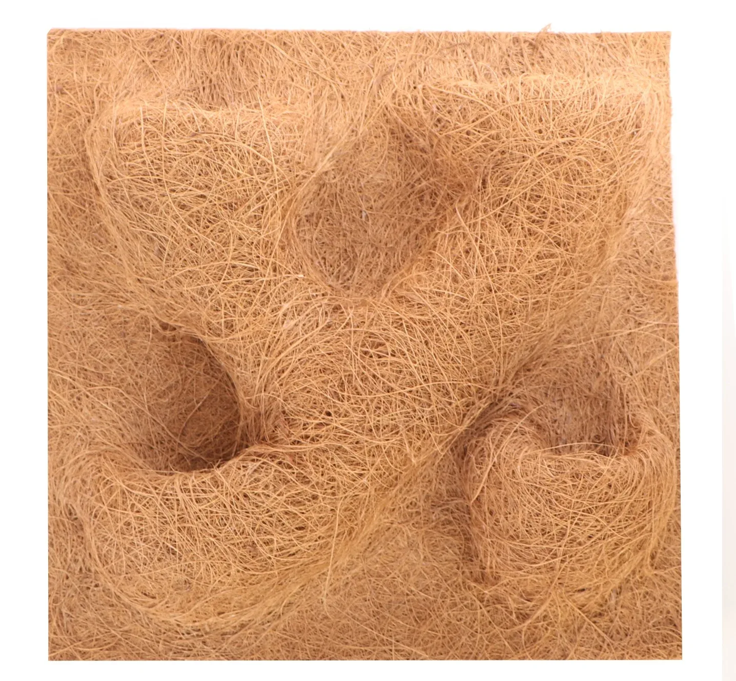CocoBackgroud 40x40 - tło z kokosa