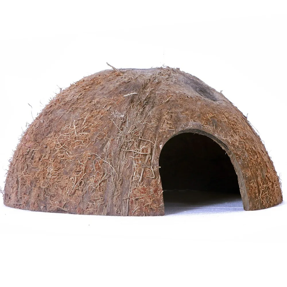 CocoCave L - połówka kokos naturalny