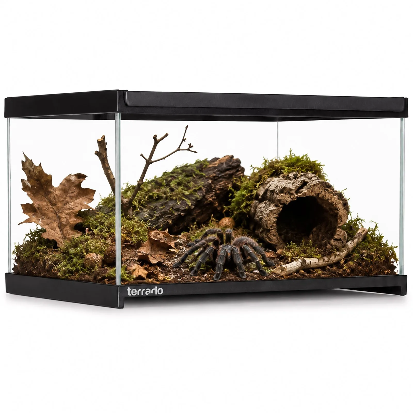 Frevo Clear Terrarium 30x20x17cm - terrarium szklane