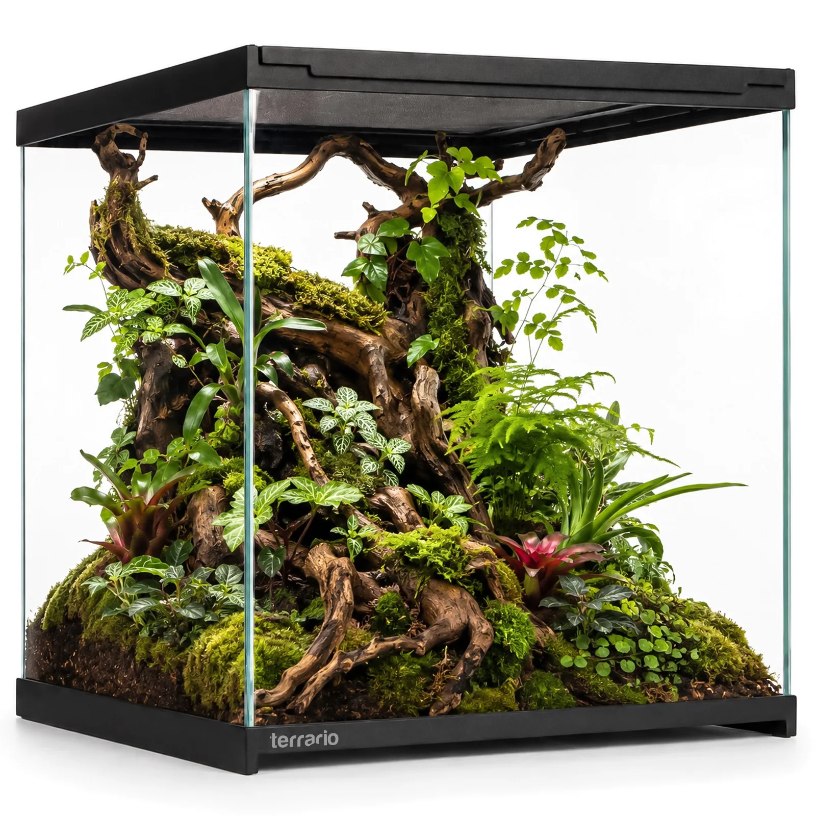 Terrario Frevo Clear Terrarium 30x30x30cm - terrarium szklane