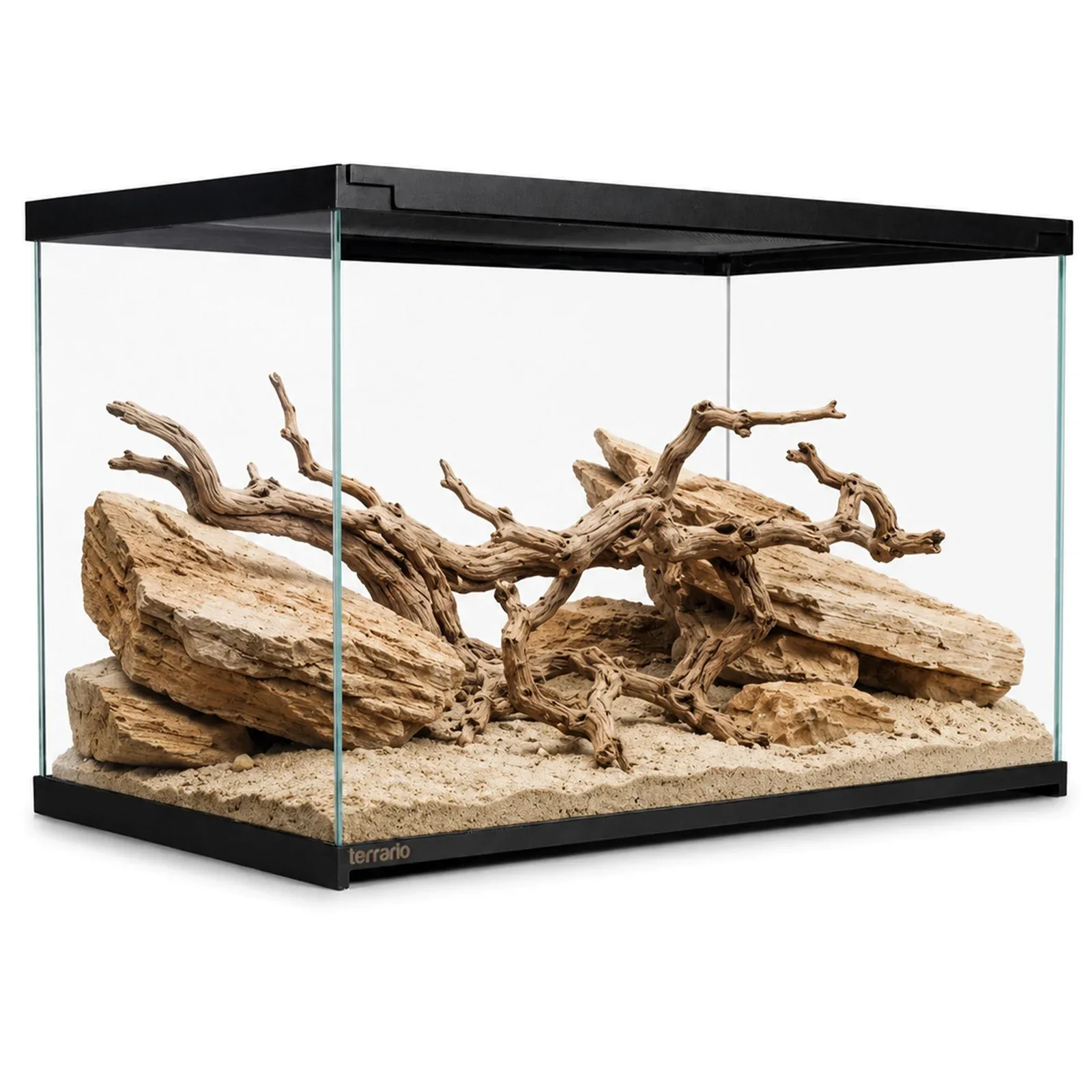 Frevo Clear Terrarium 50x30x30cm - terrarium szklane
