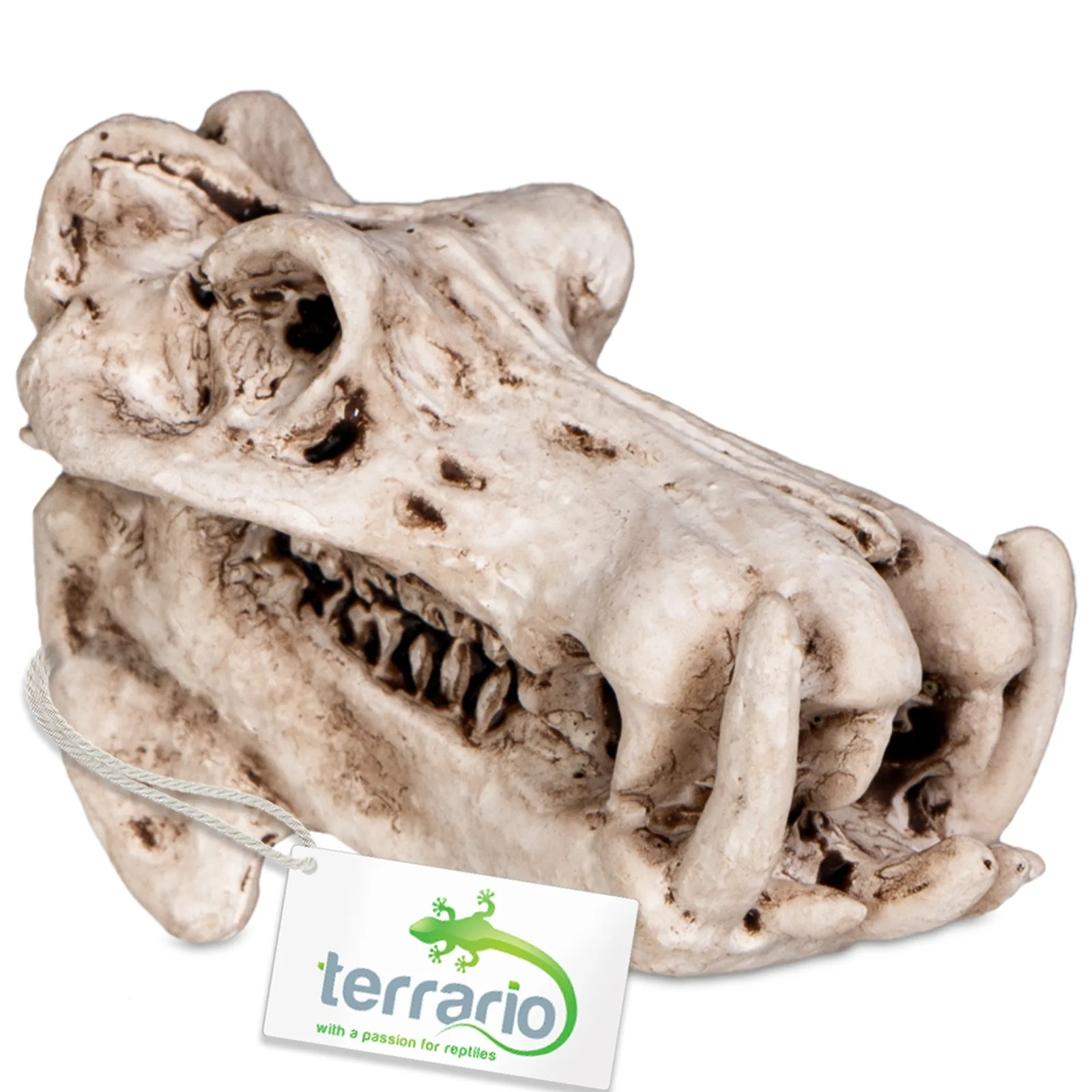Terrario Hippo Skull - czaszka hipopotama  do terrarium 5x3x3 cm
