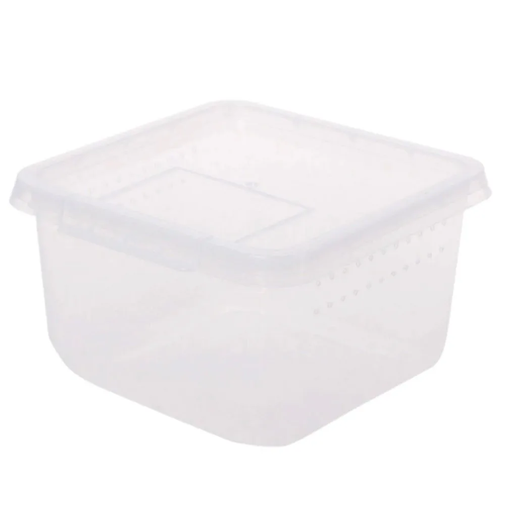 Insect Box Compact - plastikowe terrarium 12x12x7cm