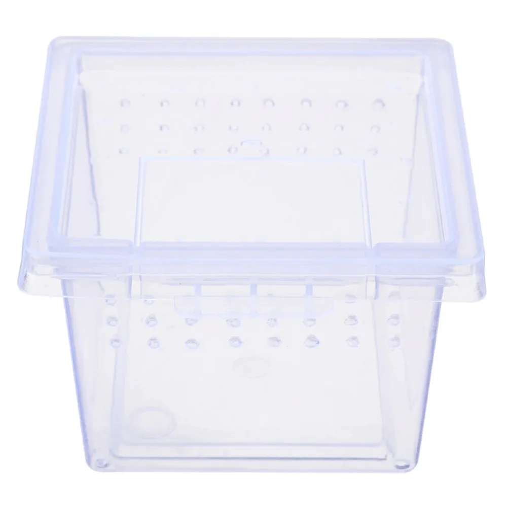 Terrario Insect Box Mini - plastikowe terrarium 6,5x6,5x4,5cm