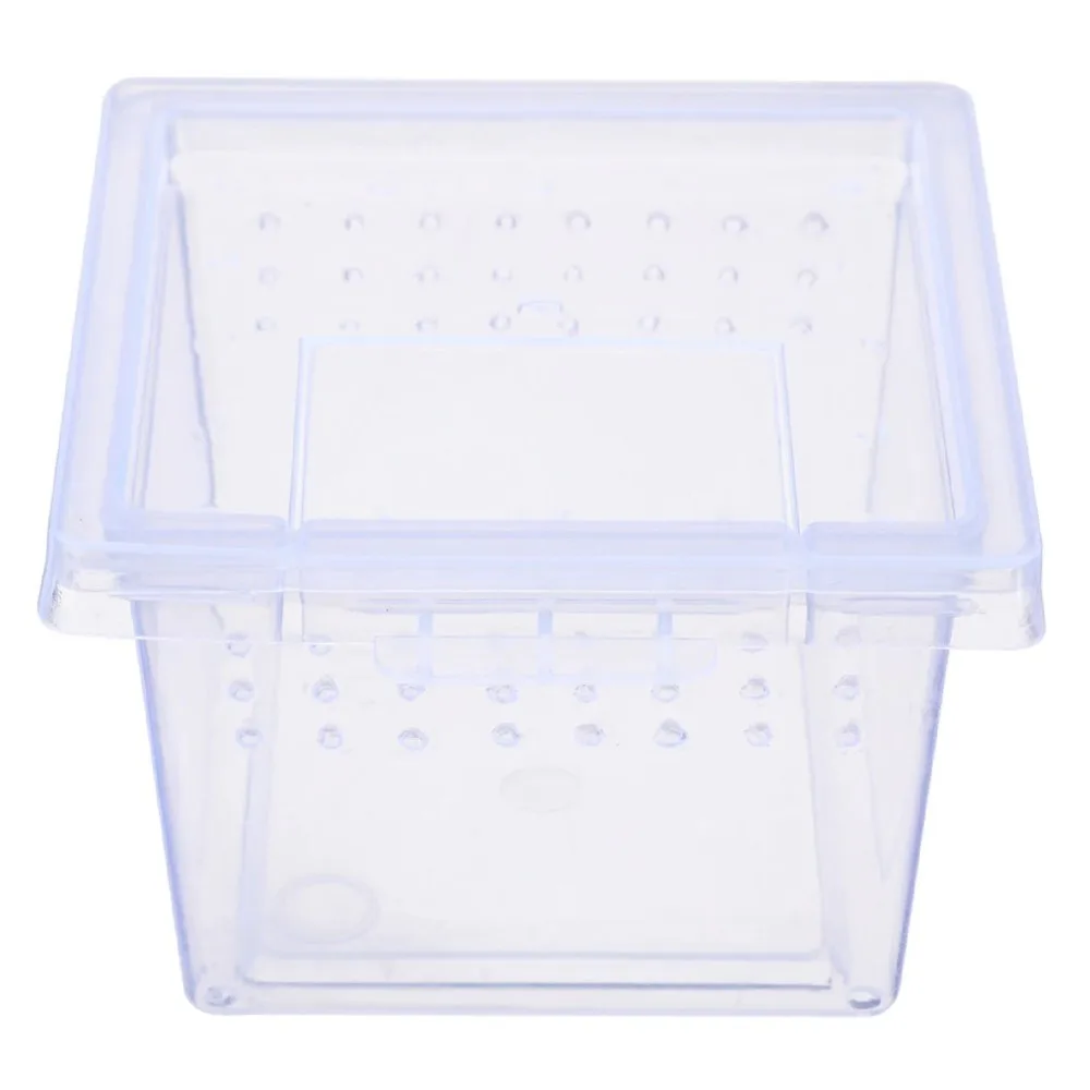 Insect Box Mini - plastikowe terrarium 6,5x6,5x4,5cm