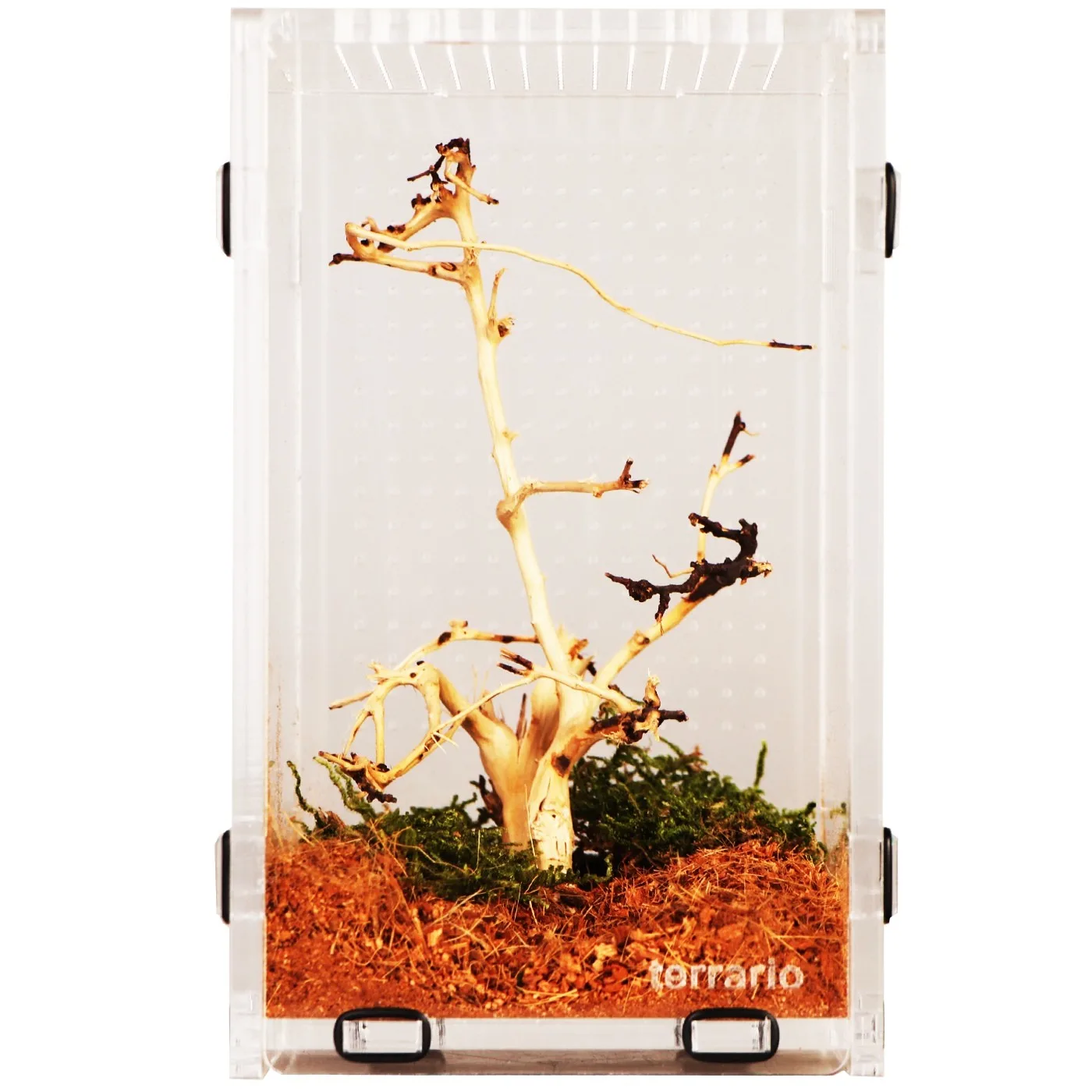 Mantis Area L - terrarium akrylowe dla modliszek i owadów
