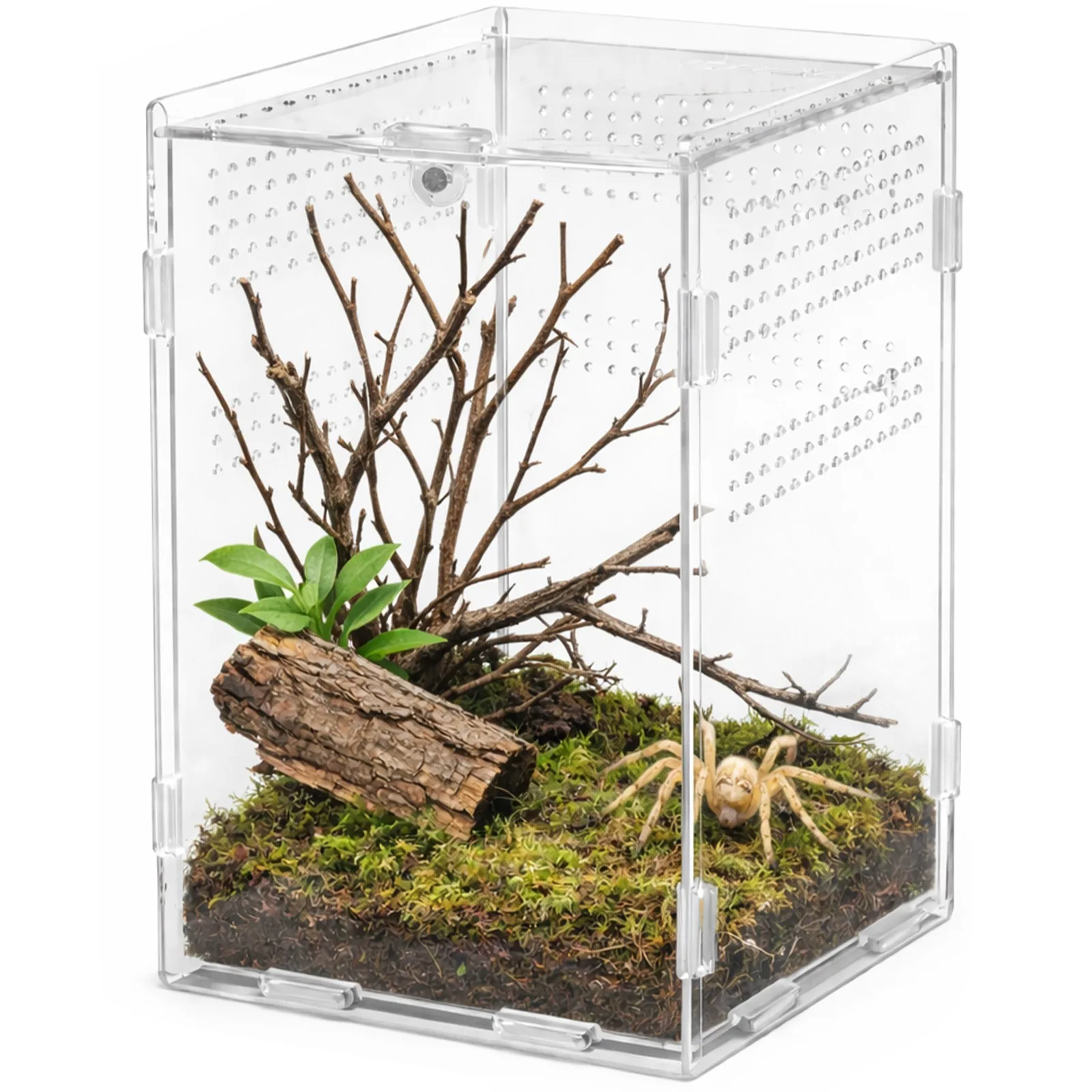 MicroAir Hab - terrarium akrylowe 12x12x20cm