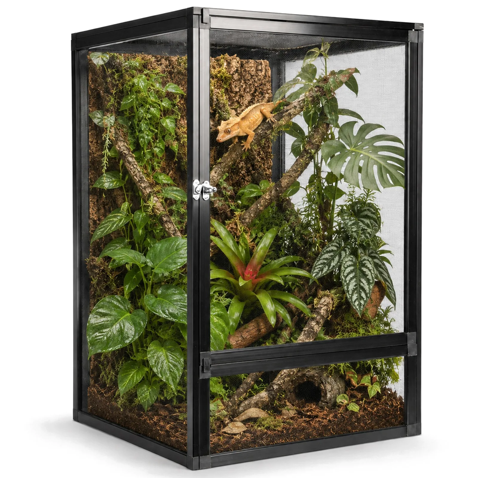 Terrario Nexframe S-Line 42x42x66 - terrarium z siatki