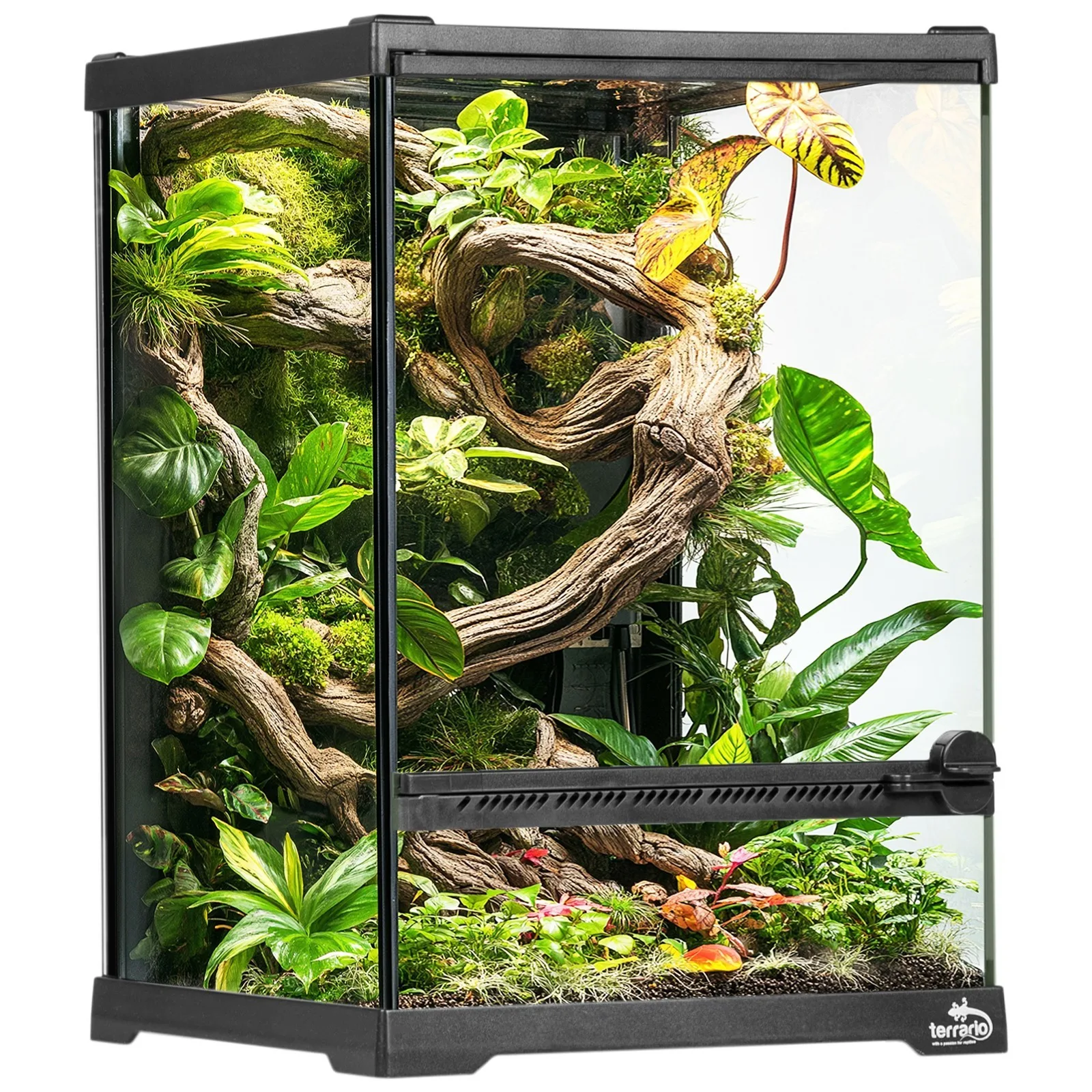 Oasis Verde 5 - terrarium 20x20x30cm