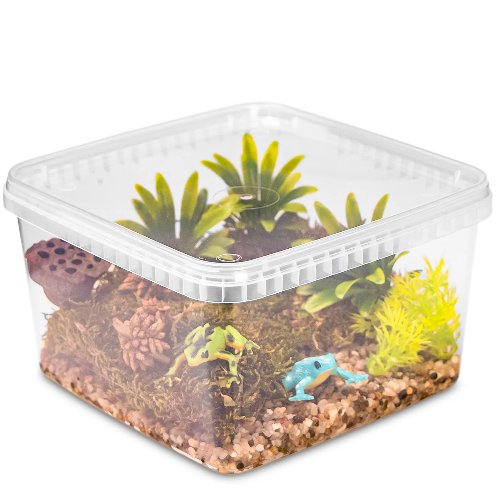 ReptiBox 19x19x12cm - przeźroczyste terrarium faunarium